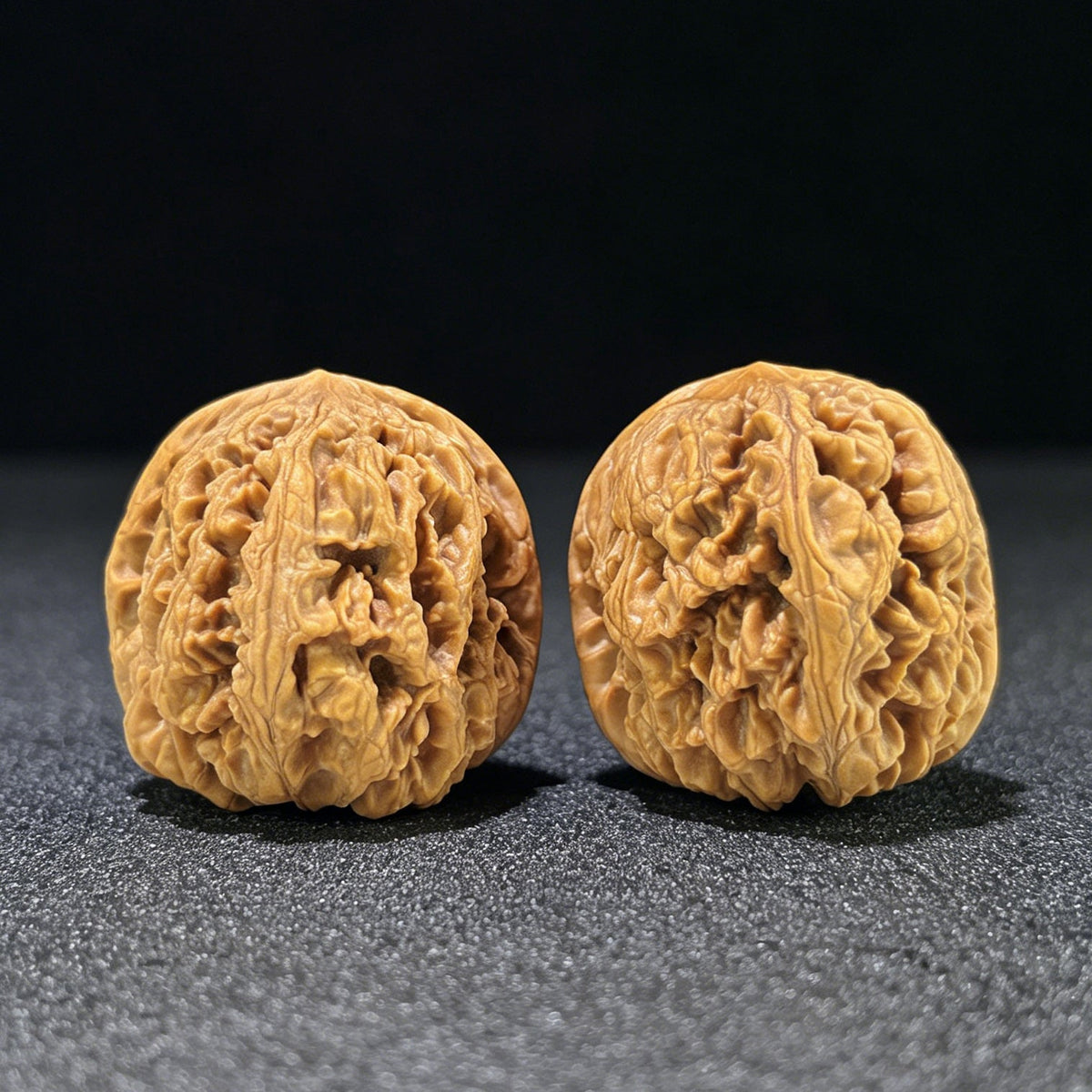 The "Bold-Ribbed Lion Head" (Cu Jin) Elongated Deep-Belly Pair | 39.0mm x 43.0mm | CJ-1002 - ThePatinaProject