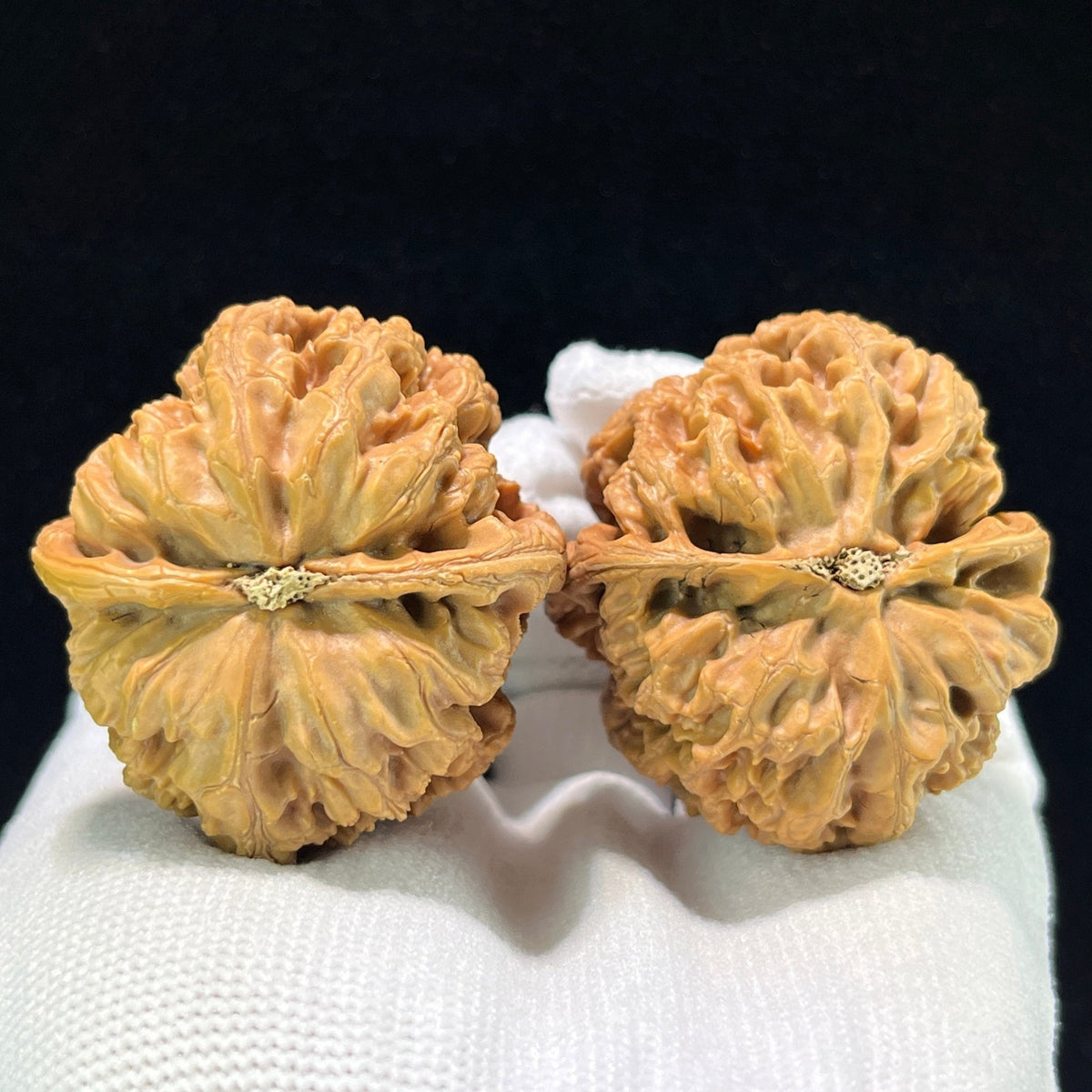 The "Bold-Ribbed Lion Head" (Cu Jin) Elongated Deep-Belly Pair | 39.0mm x 43.0mm | CJ-1002 - ThePatinaProject