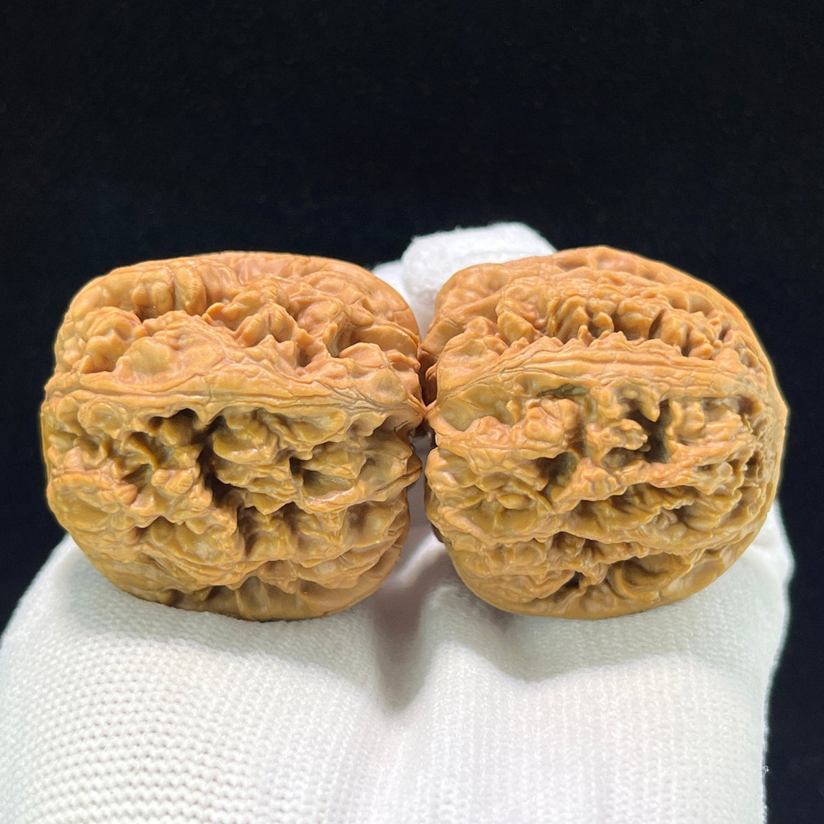 The "Bold-Ribbed Lion Head" (Cu Jin) Elongated Deep-Belly Pair | 39.0mm x 43.0mm | CJ-1002 - ThePatinaProject