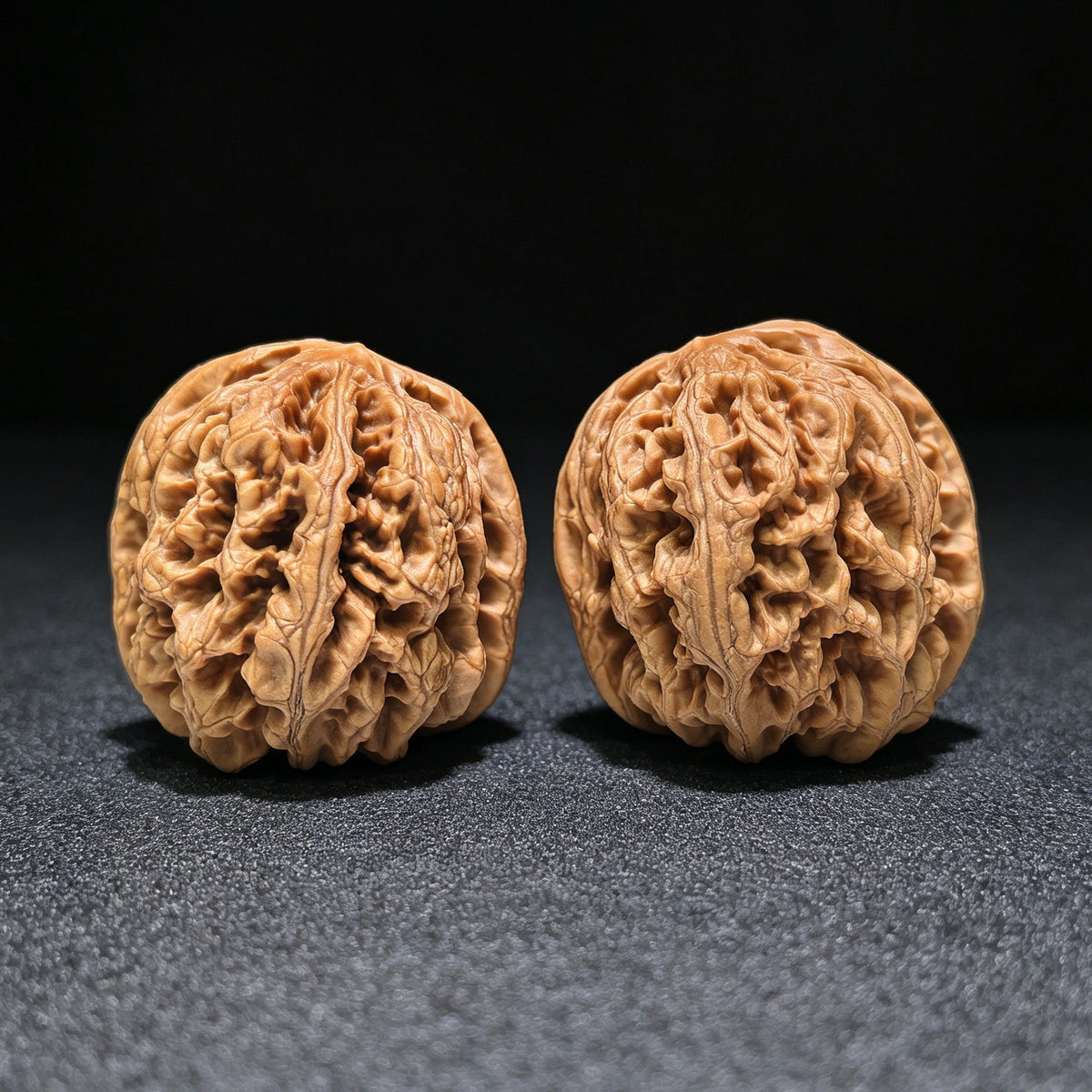 The "Bold-Ribbed Lion Head" (Cu Jin) Heritage Deep-Belly Pair | 42.0mm x 45.0mm | CJ-1401 - ThePatinaProject