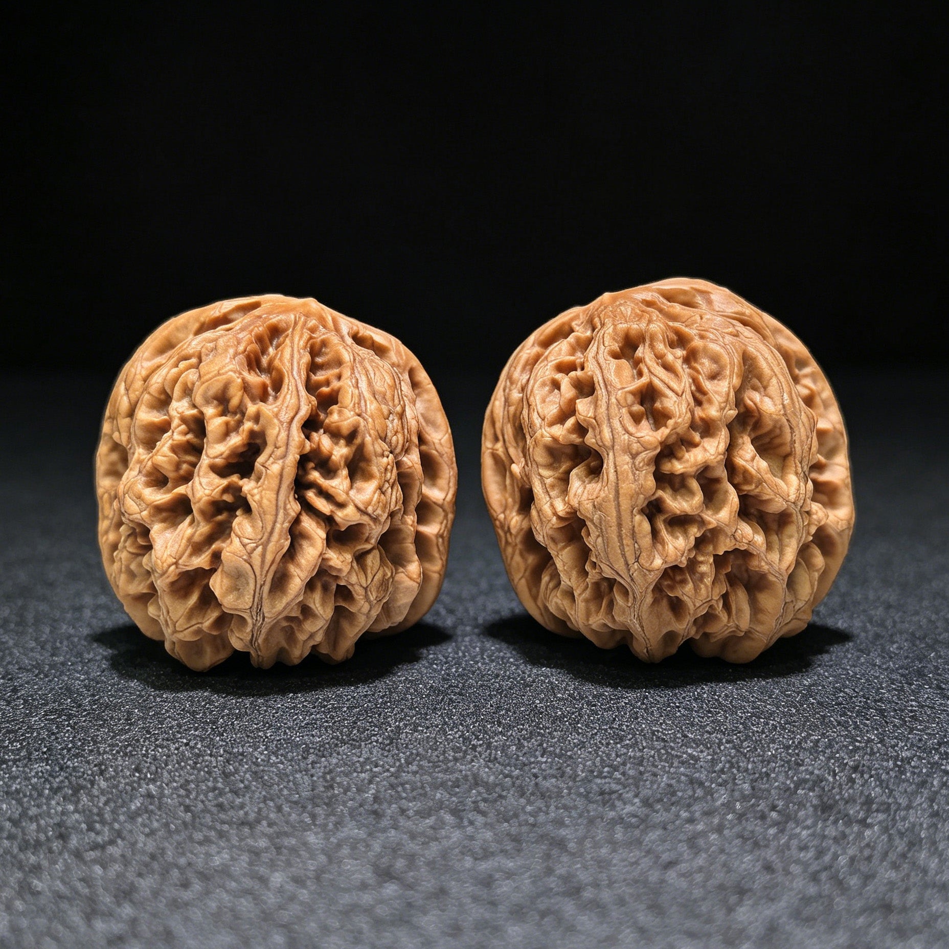 The "Bold-Ribbed Lion Head" (Cu Jin) Heritage Deep-Belly Pair | 42.0mm x 45.0mm | CJ-1401 - ThePatinaProject
