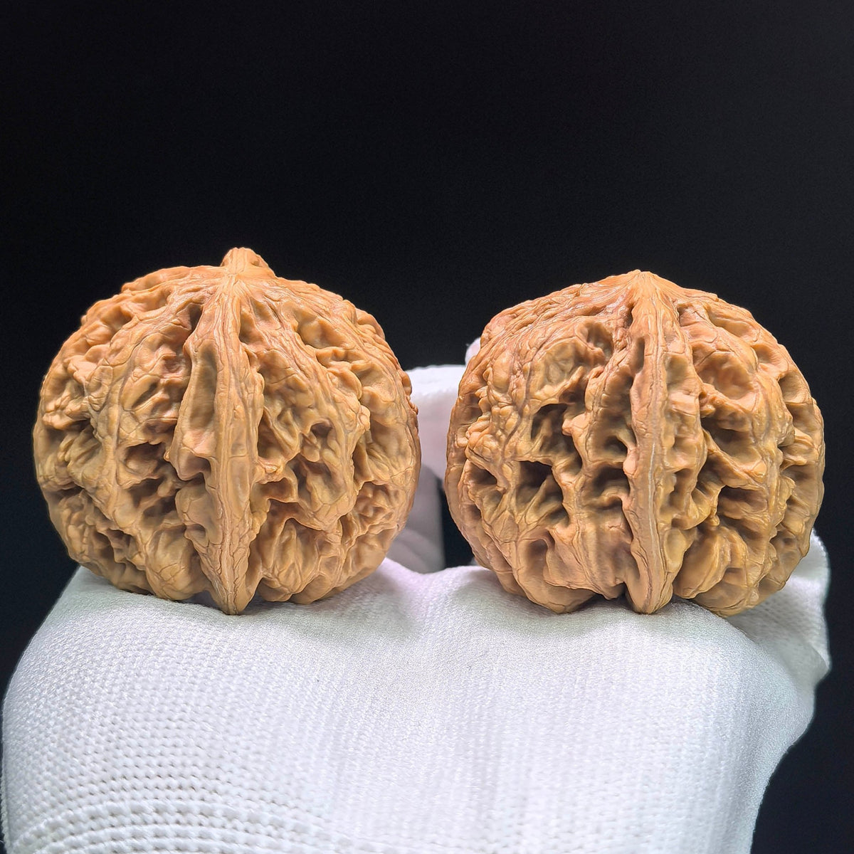 The "Bold-Ribbed Lion Head" (Cu Jin) Heritage Deep-Belly Pair | 42.0mm x 45.0mm | CJ-1401 - ThePatinaProject