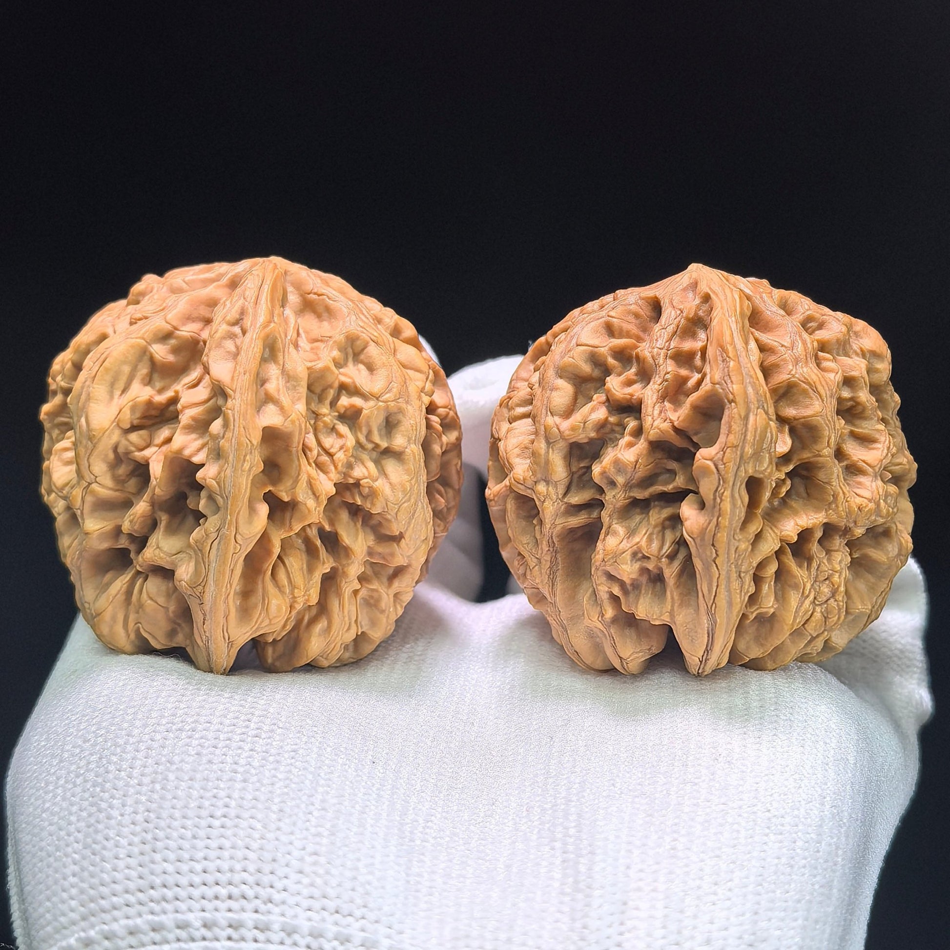 The "Bold-Ribbed Lion Head" (Cu Jin) Heritage Deep-Belly Pair | 42.0mm x 45.0mm | CJ-1401 - ThePatinaProject