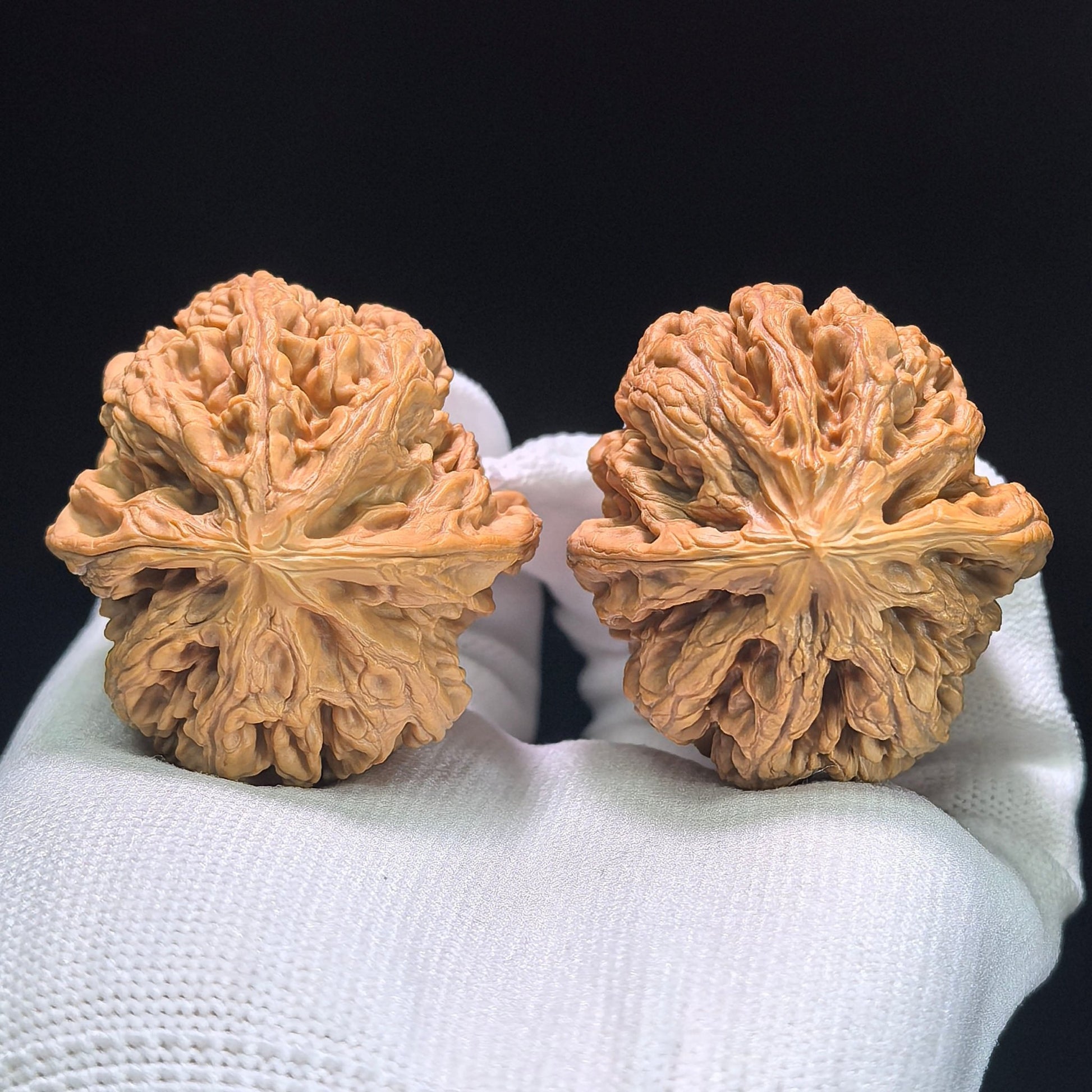The "Bold-Ribbed Lion Head" (Cu Jin) Heritage Deep-Belly Pair | 42.0mm x 45.0mm | CJ-1401 - ThePatinaProject
