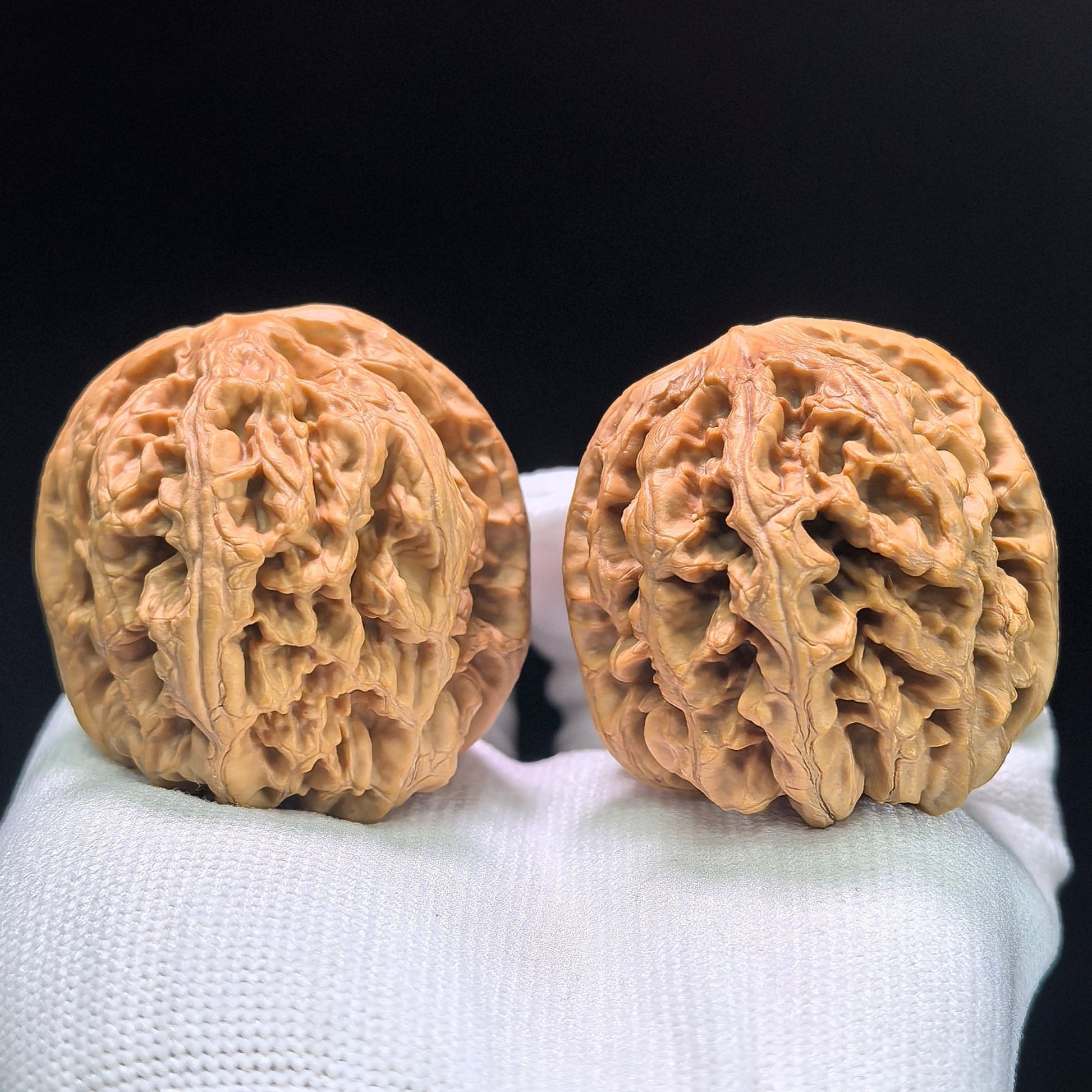 The "Bold-Ribbed Lion Head" (Cu Jin) Heritage Deep-Belly Pair | 42.0mm x 45.0mm | CJ-1401 - ThePatinaProject