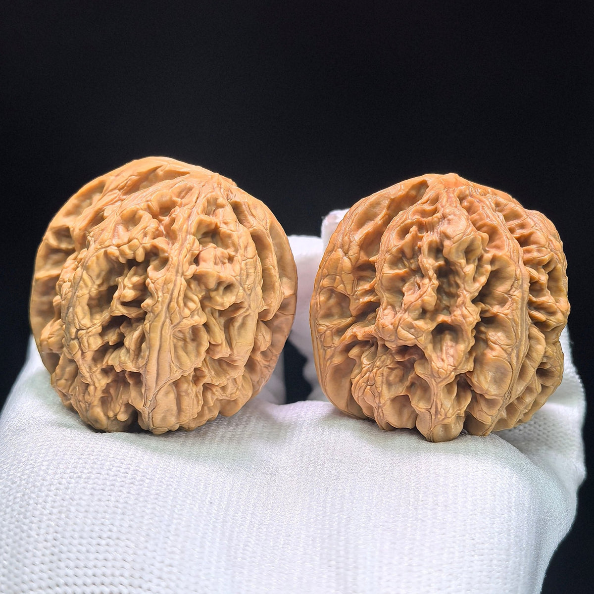 The "Bold-Ribbed Lion Head" (Cu Jin) Heritage Deep-Belly Pair | 42.0mm x 45.0mm | CJ-1401 - ThePatinaProject