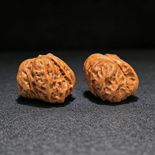 The Bold "Toad Head Bulldozer" Hamatou Tuituiji Pocket Masterpiece | 38.0mm x 39.0mm | HMTTUJ-401E - ThePatinaProject