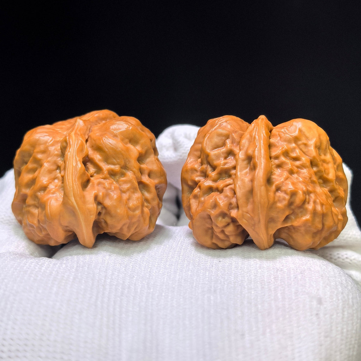 The Bold "Toad Head Bulldozer" Hamatou Tuituiji Pocket Masterpiece | 38.0mm x 39.0mm | HMTTUJ-401E - ThePatinaProject
