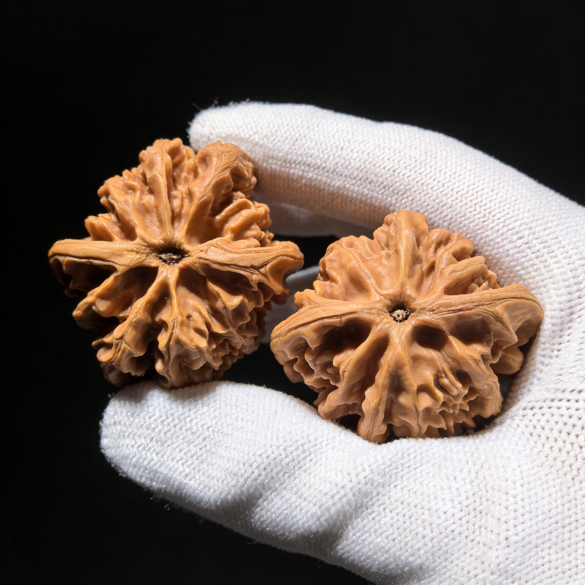 The "Champion's Crown" (Zhuang Yuan Guan) Pair | 43.0mm x 42.0mm | ZYG-01 - ThePatinaProject