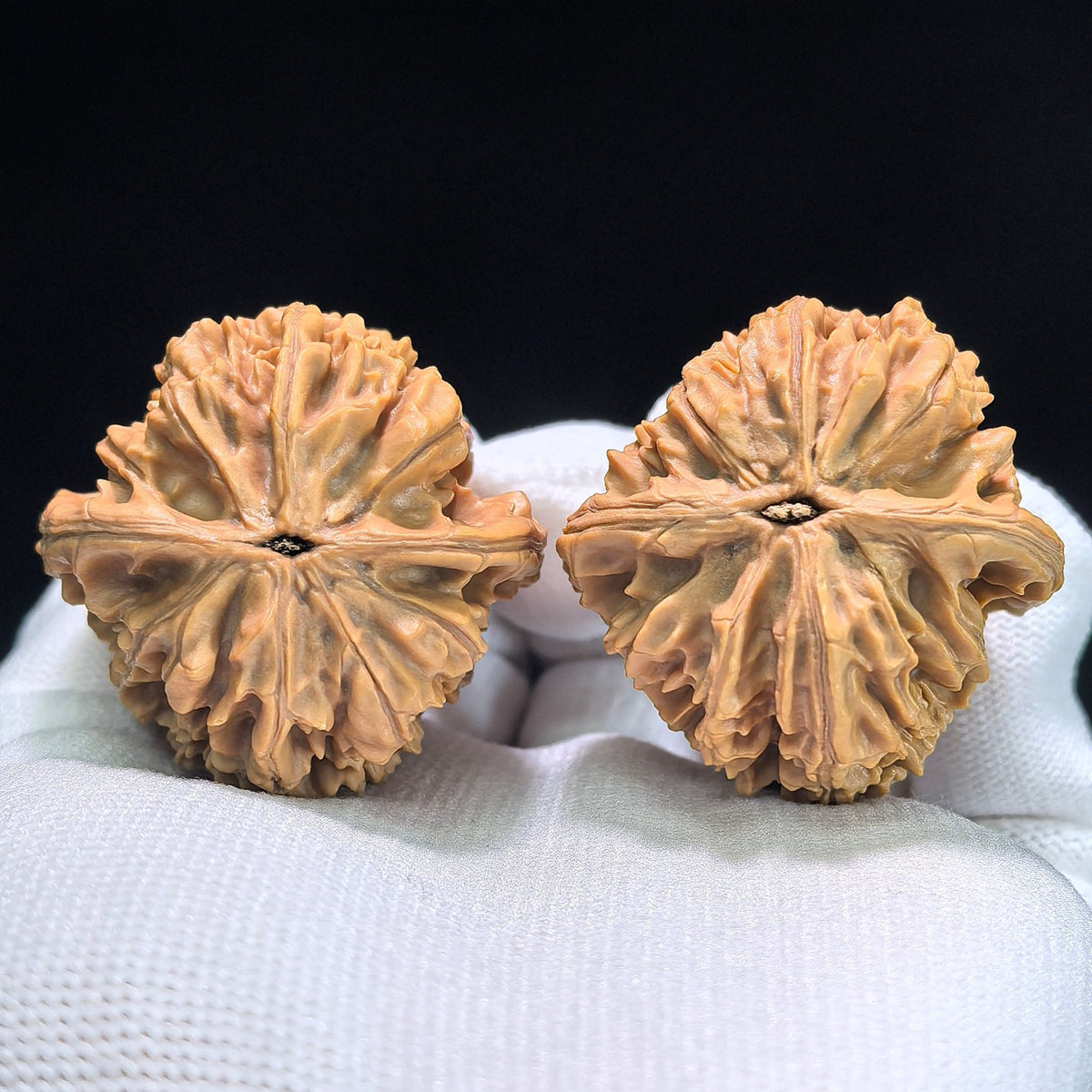 The "Chicken Heart" (Ji Xin) Pair | 39.0mm x 38.0mm | JX-512 - ThePatinaProject