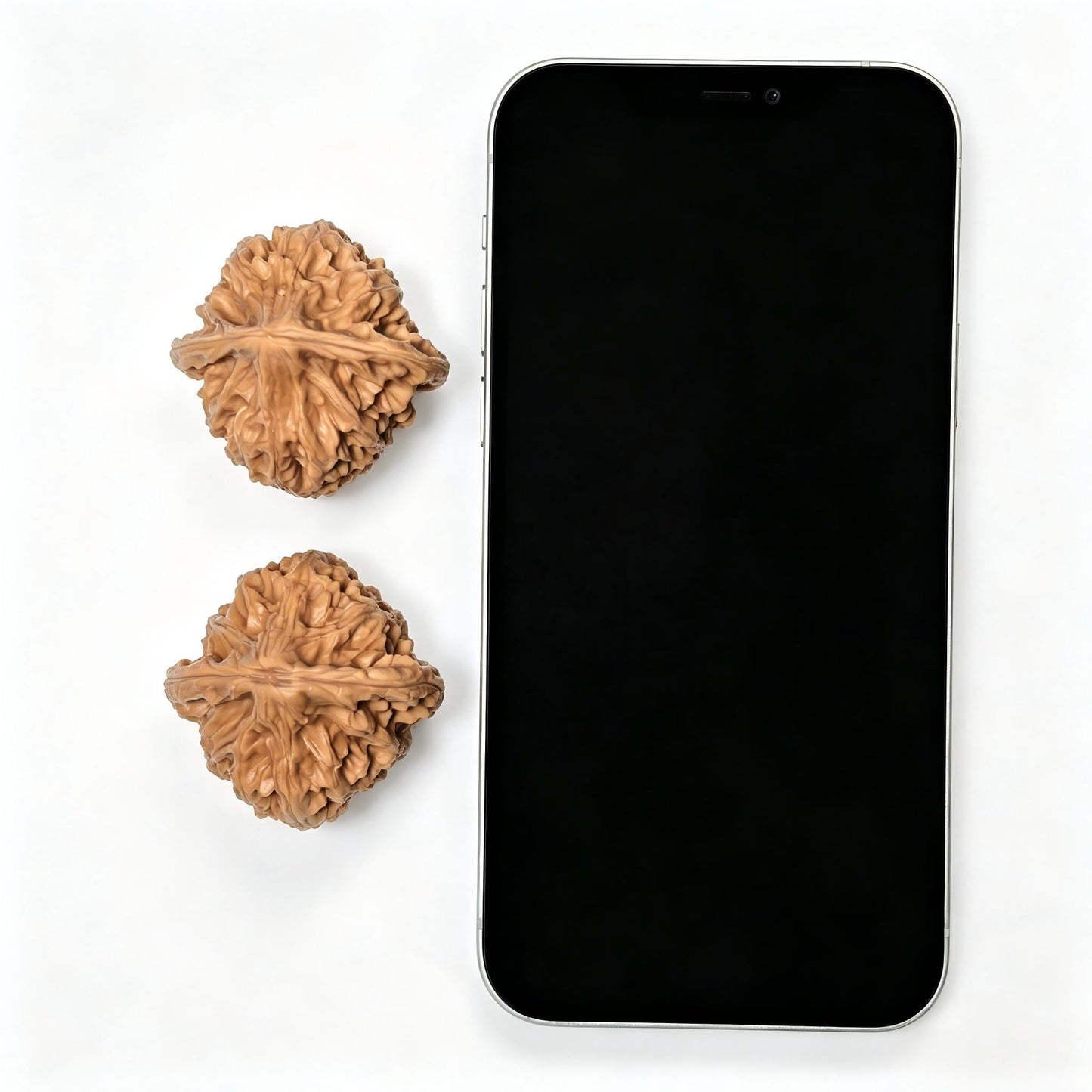 The "Chicken Heart" (Ji Xin) Pair | 41.0mm x 41.0mm | JX-513 - ThePatinaProject