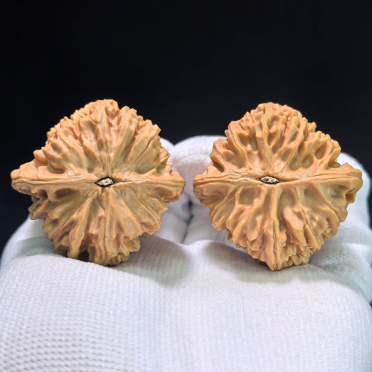 The "Chicken Heart" (Ji Xin) Pair | 41.0mm x 41.0mm | JX-513 - ThePatinaProject