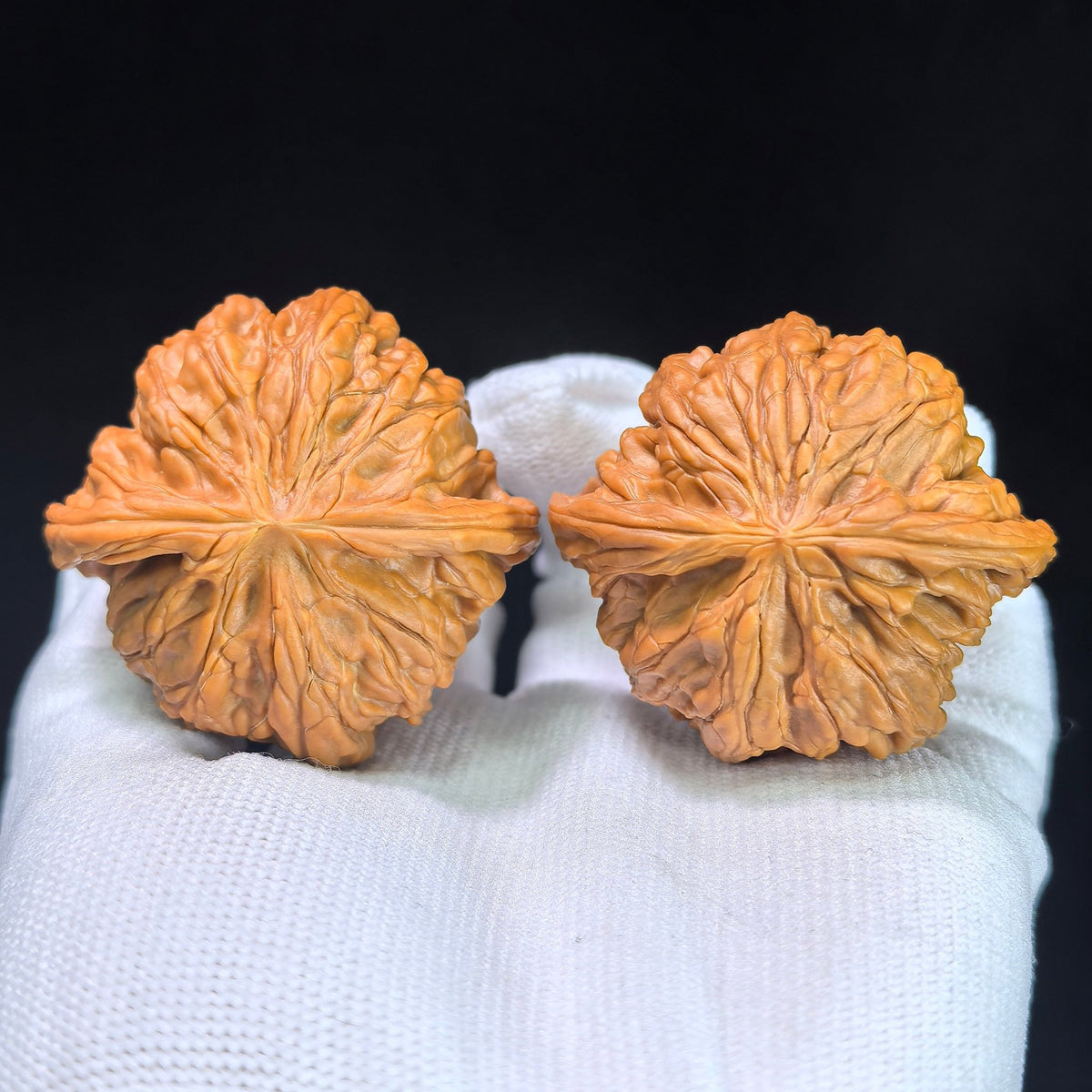 The "Classic Grinding-Stone" (Zheng Mo Pan) Premium Low-Profile Pair | 45.0mm x 43.0mm | MP-1301C - ThePatinaProject