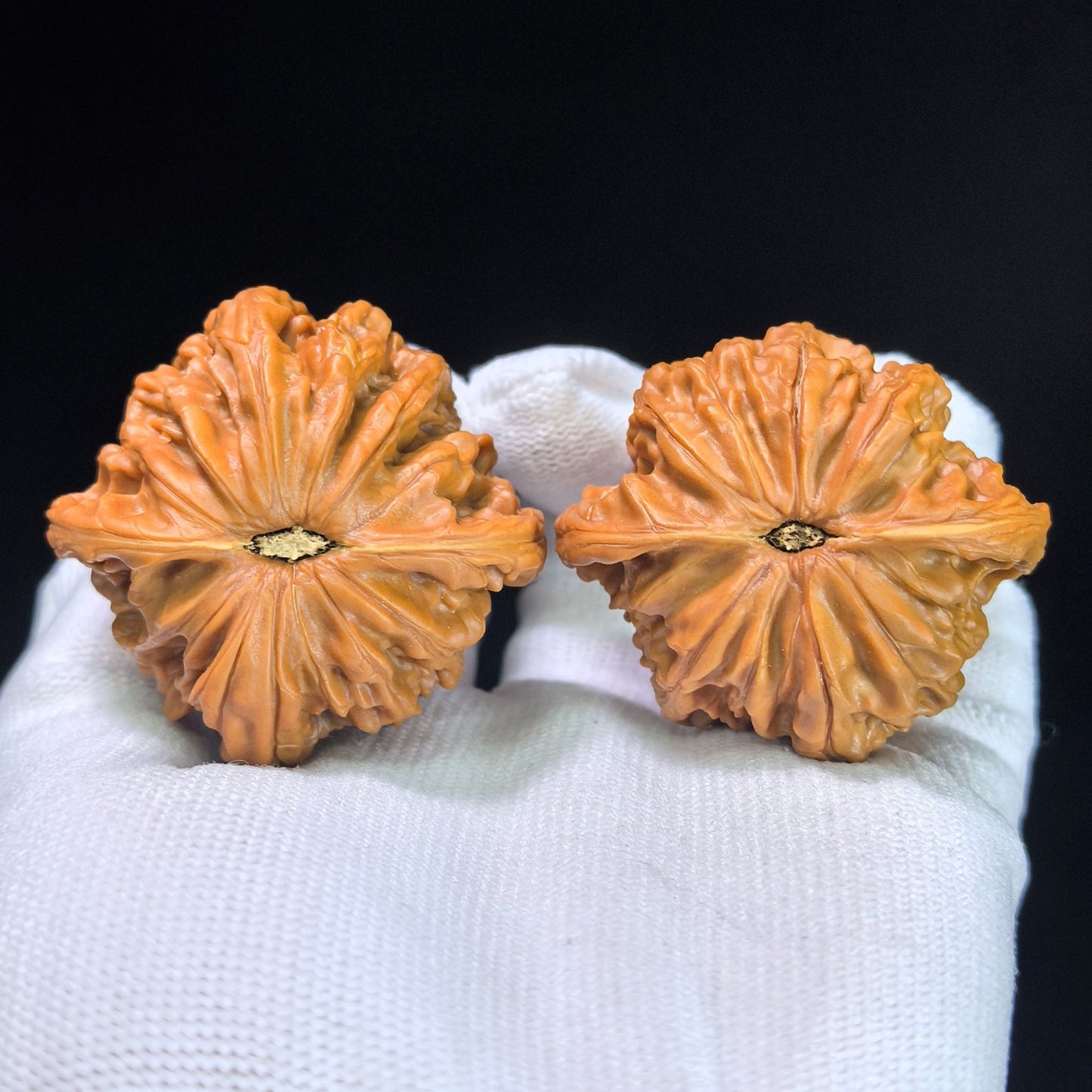 The "Classic Grinding-Stone" (Zheng Mo Pan) Premium Low-Profile Pair | 45.0mm x 43.0mm | MP-1301C - ThePatinaProject