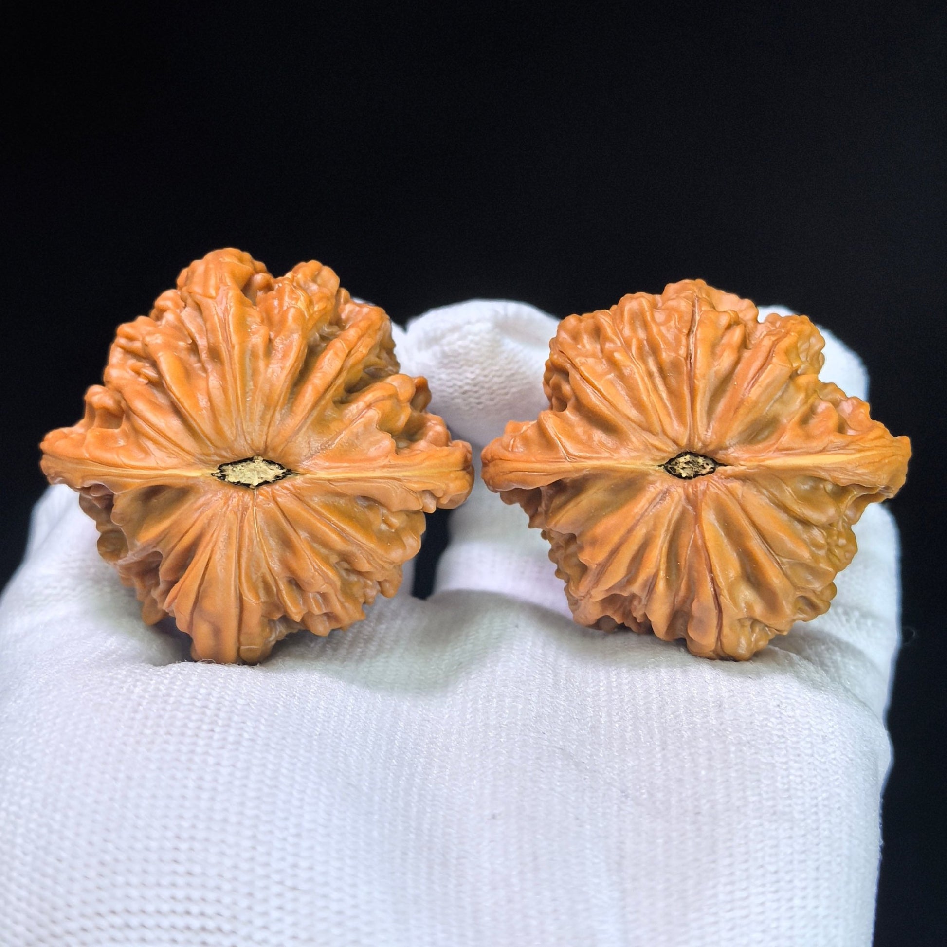 The "Classic Grinding-Stone" (Zheng Mo Pan) Premium Low-Profile Pair | 45.0mm x 43.0mm | MP-1301C - ThePatinaProject