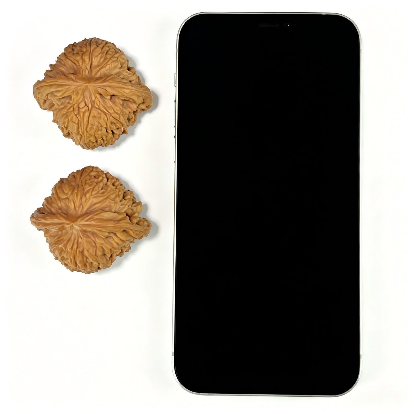 The "Classic Ingot-Profile" (Nanjiangshi) Premium Low-Profile Pair | 44.0mm x 40.0mm | NJS-1005 - ThePatinaProject