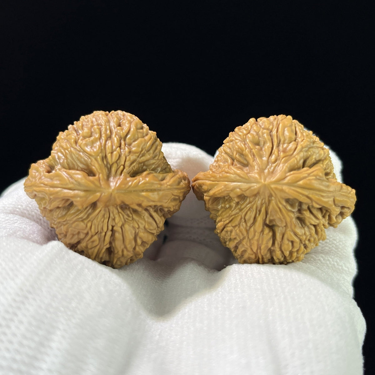 The Classic NJS (Nan Jiang Shi) Pair | 37.0mm x 35.0mm | NJS-812 - ThePatinaProject