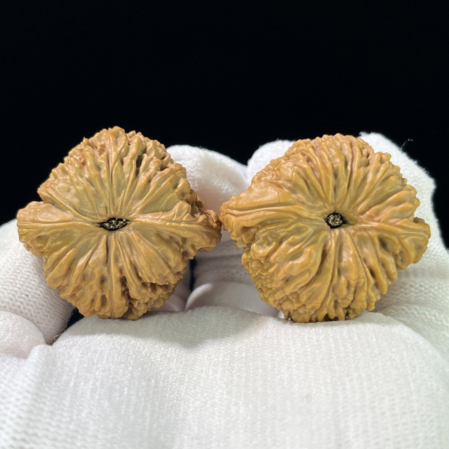 The Classic NJS (Nan Jiang Shi) Pair | 37.0mm x 35.0mm | NJS-812 - ThePatinaProject