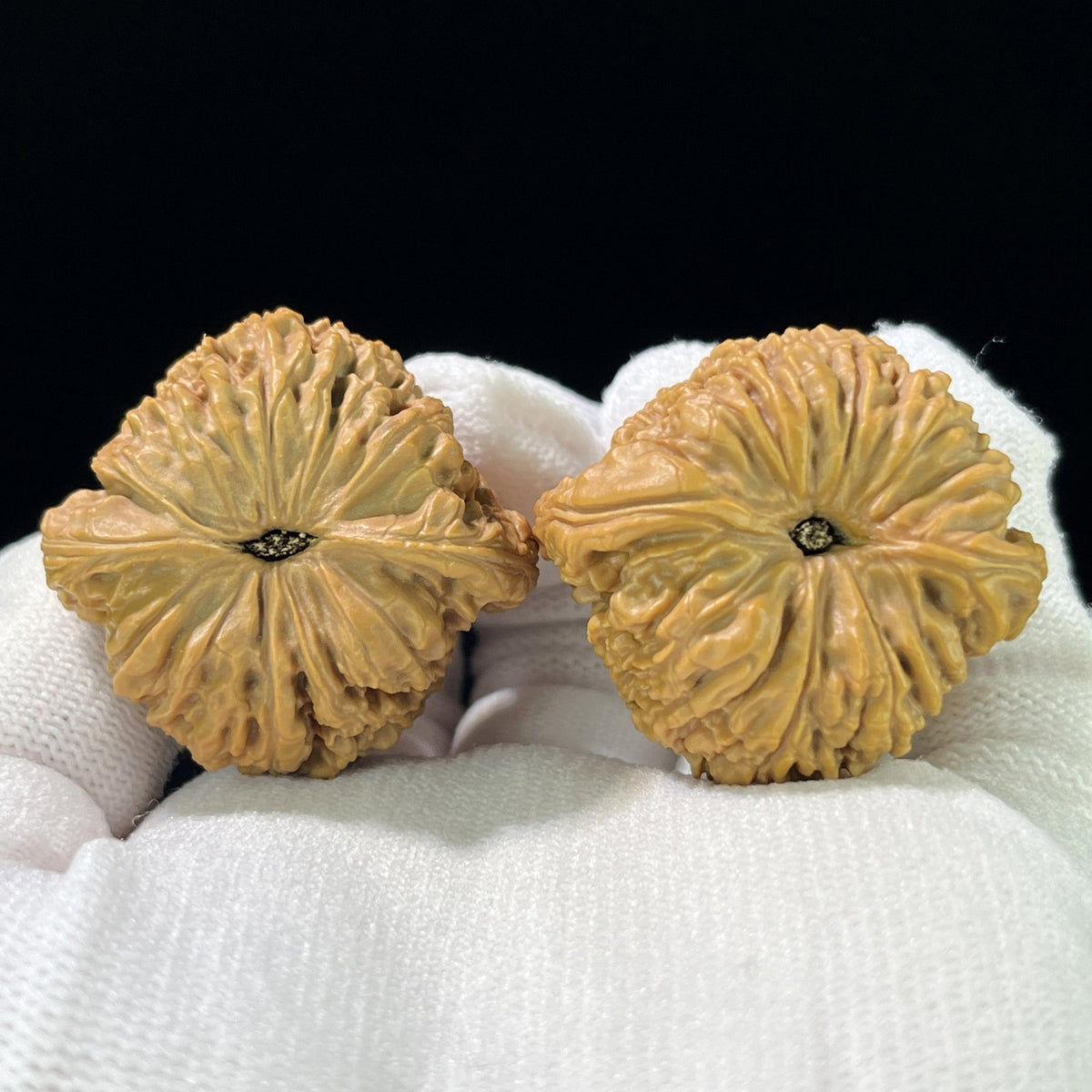 The Classic NJS (Nan Jiang Shi) Pair | 37.0mm x 35.0mm | NJS-812 - ThePatinaProject