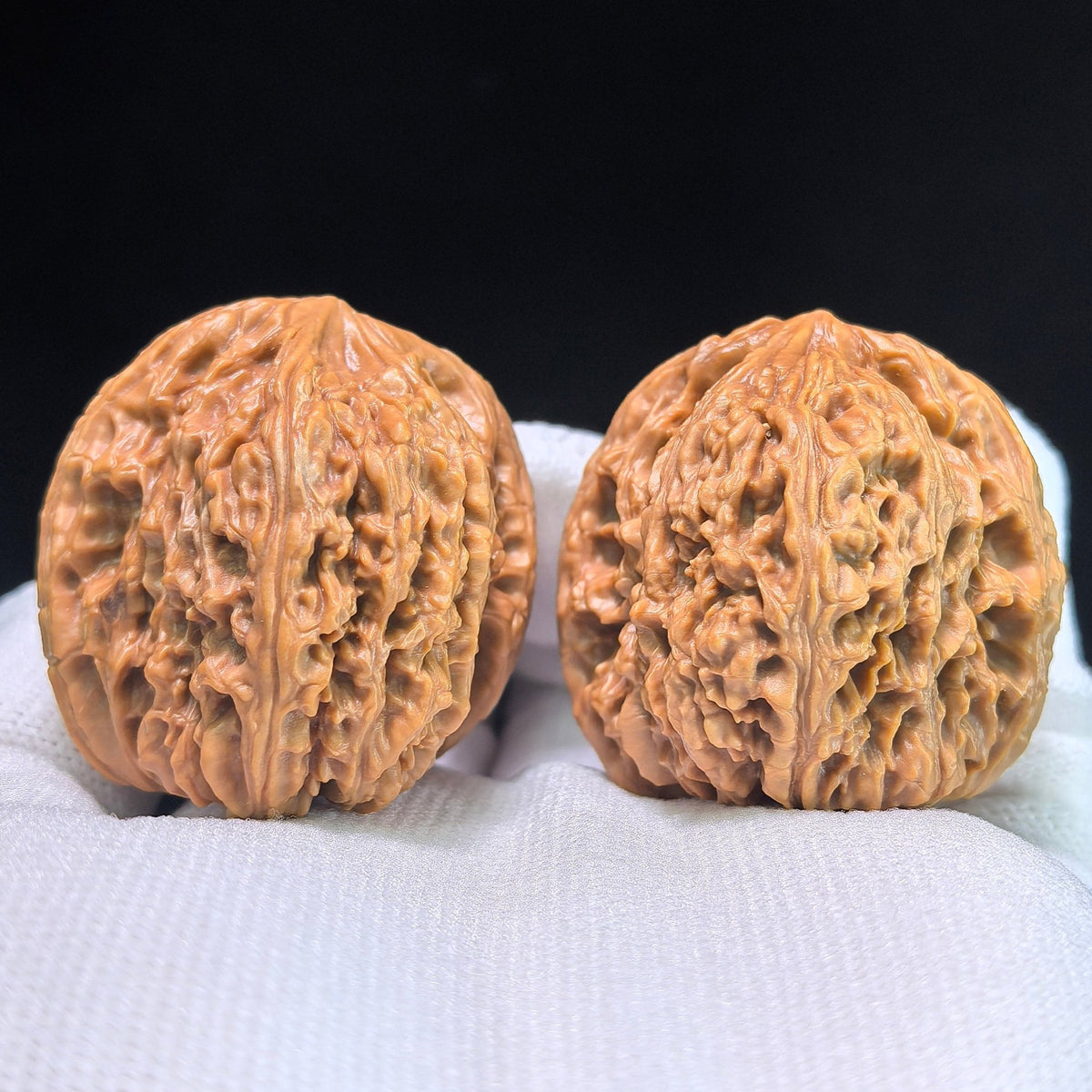 The Classic "NJS" Pair | 39.0mm x 37.0mm | NJS-601 - ThePatinaProject