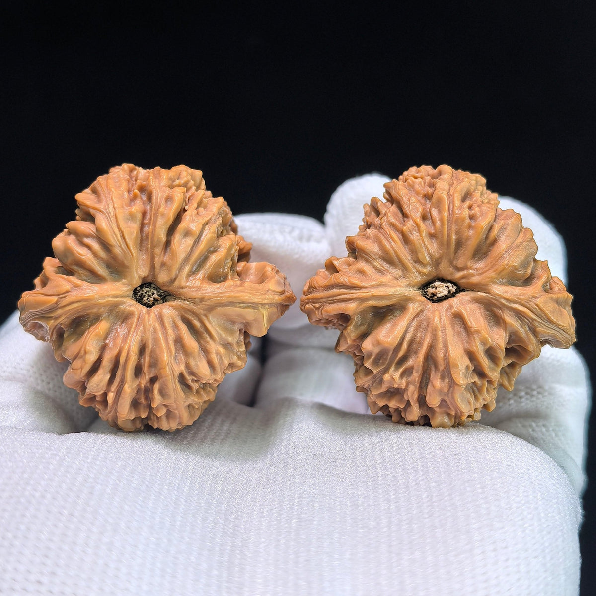 The Classic "NJS" Pair | 39.0mm x 37.0mm | NJS-601 - ThePatinaProject