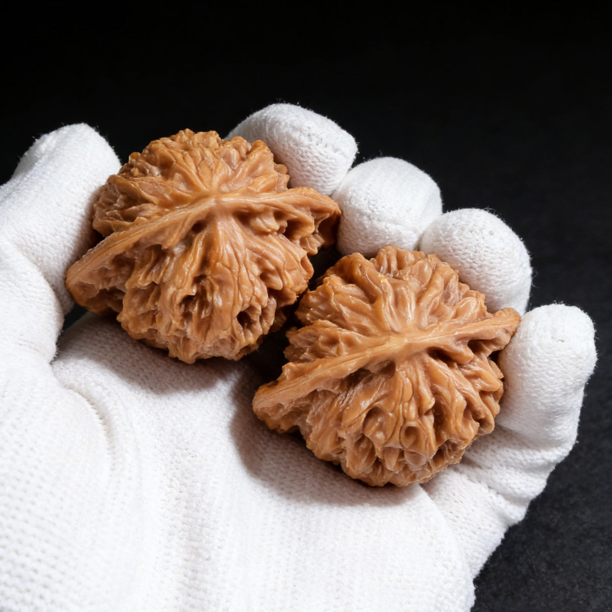 The "Coiled Dragon" (Pan Long Wen) Pair | 43.0mm x 34.0mm | PLW-02 - ThePatinaProject