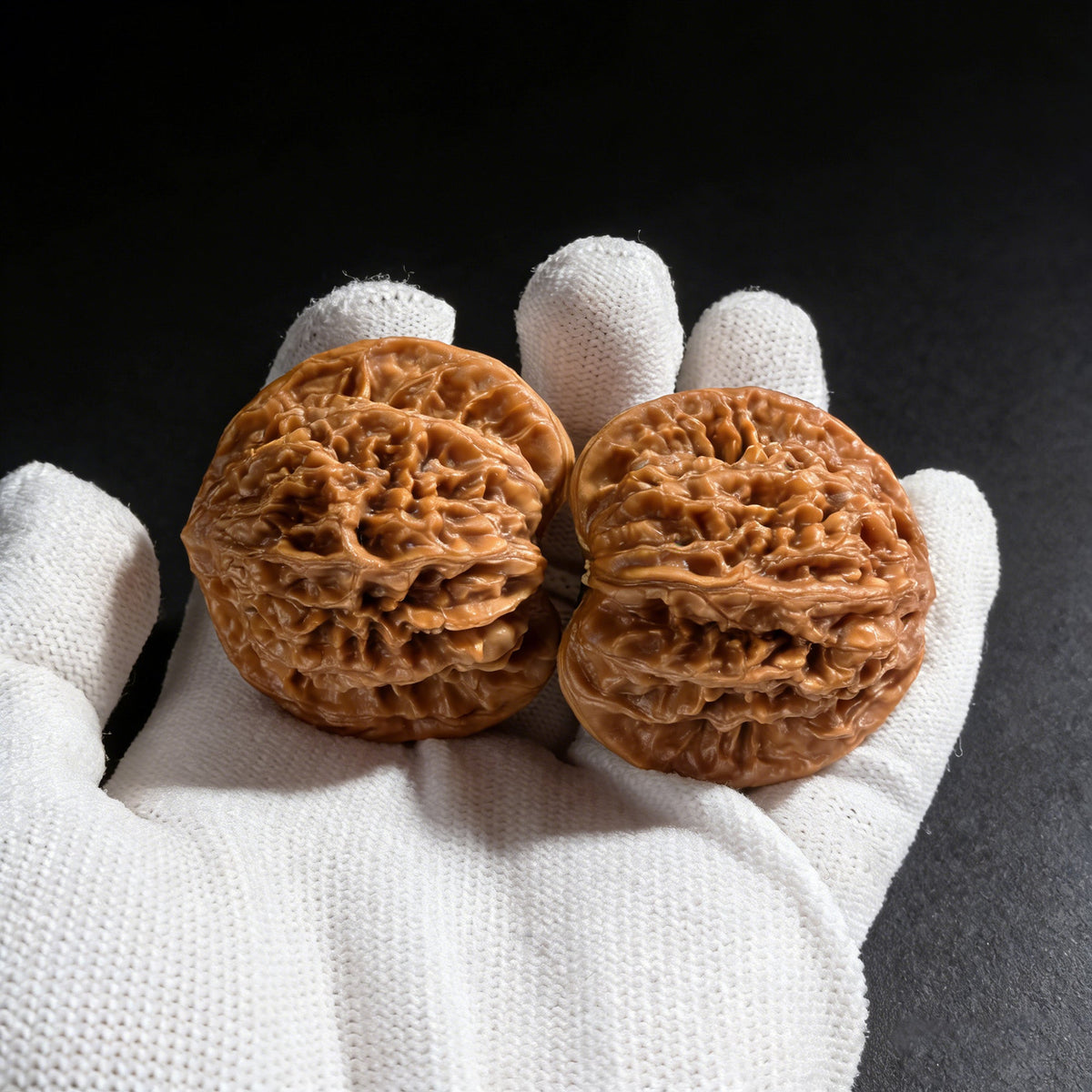 The "Coiled Dragon" (Pan Long Wen) Pair | 43.0mm x 34.0mm | PLW-02 - ThePatinaProject