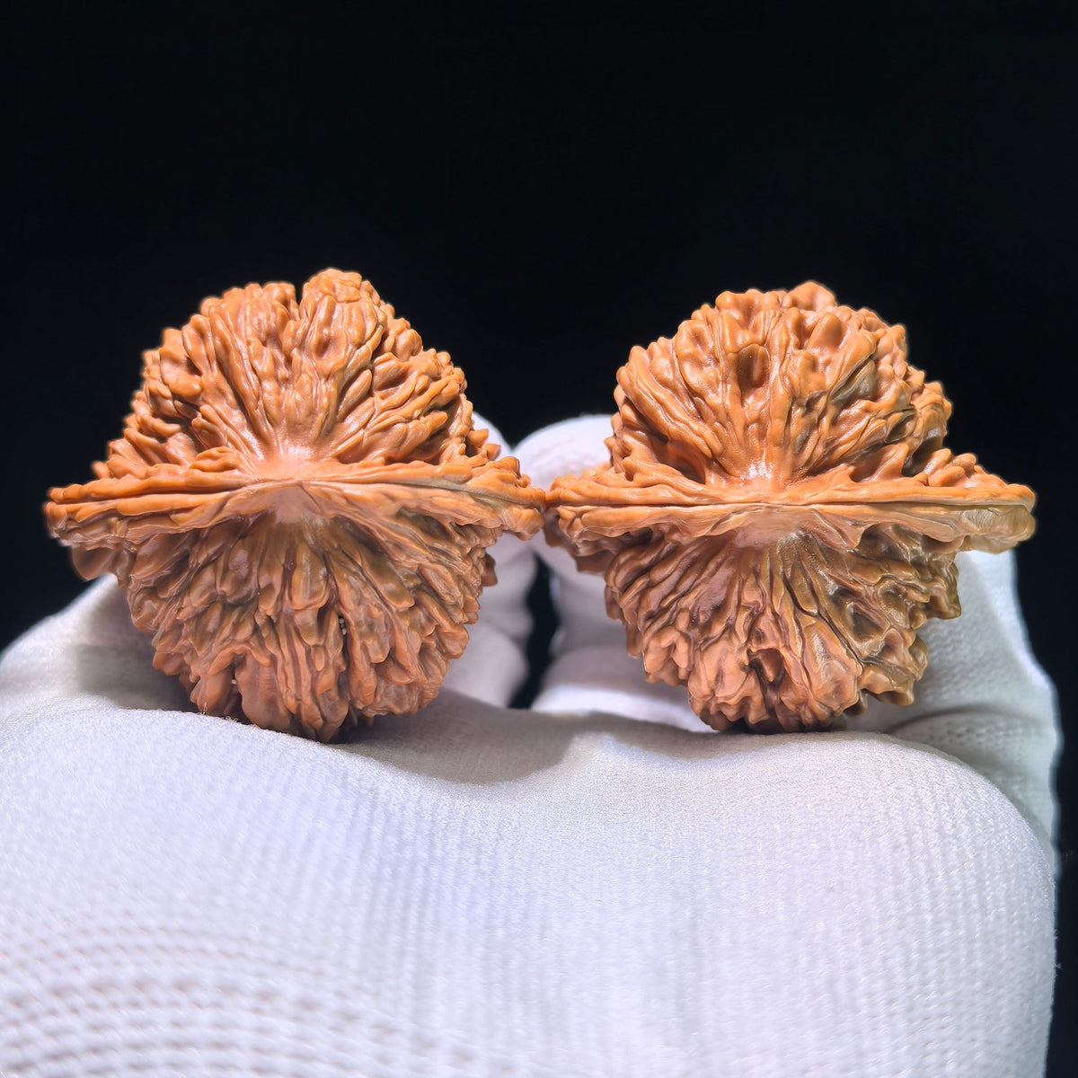 The "Coiled Dragon Pattern" (Pan Long Wen) Colossal Ergonomic Pair | 49.0mm x 45.0mm | PLW-903 - ThePatinaProject