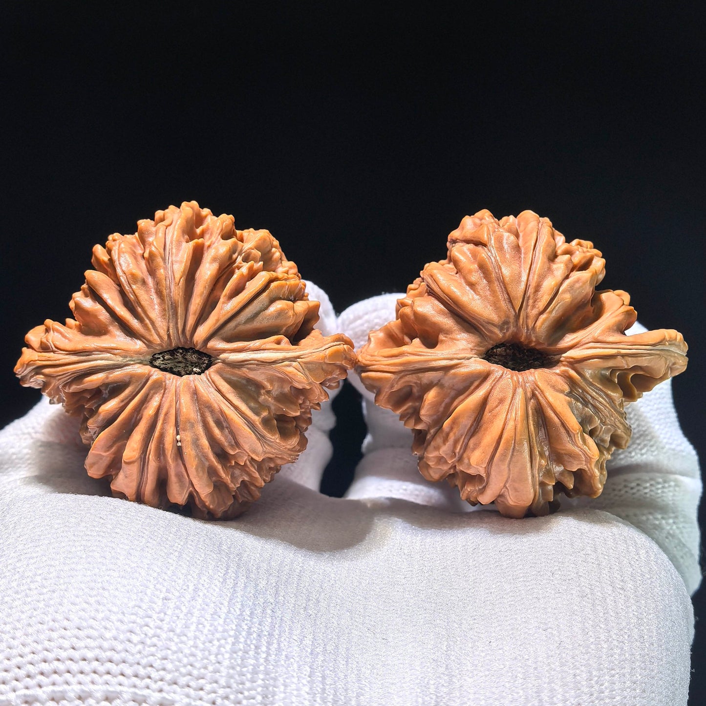 The "Coiled Dragon Pattern" (Pan Long Wen) Colossal Ergonomic Pair | 49.0mm x 45.0mm | PLW-903 - ThePatinaProject