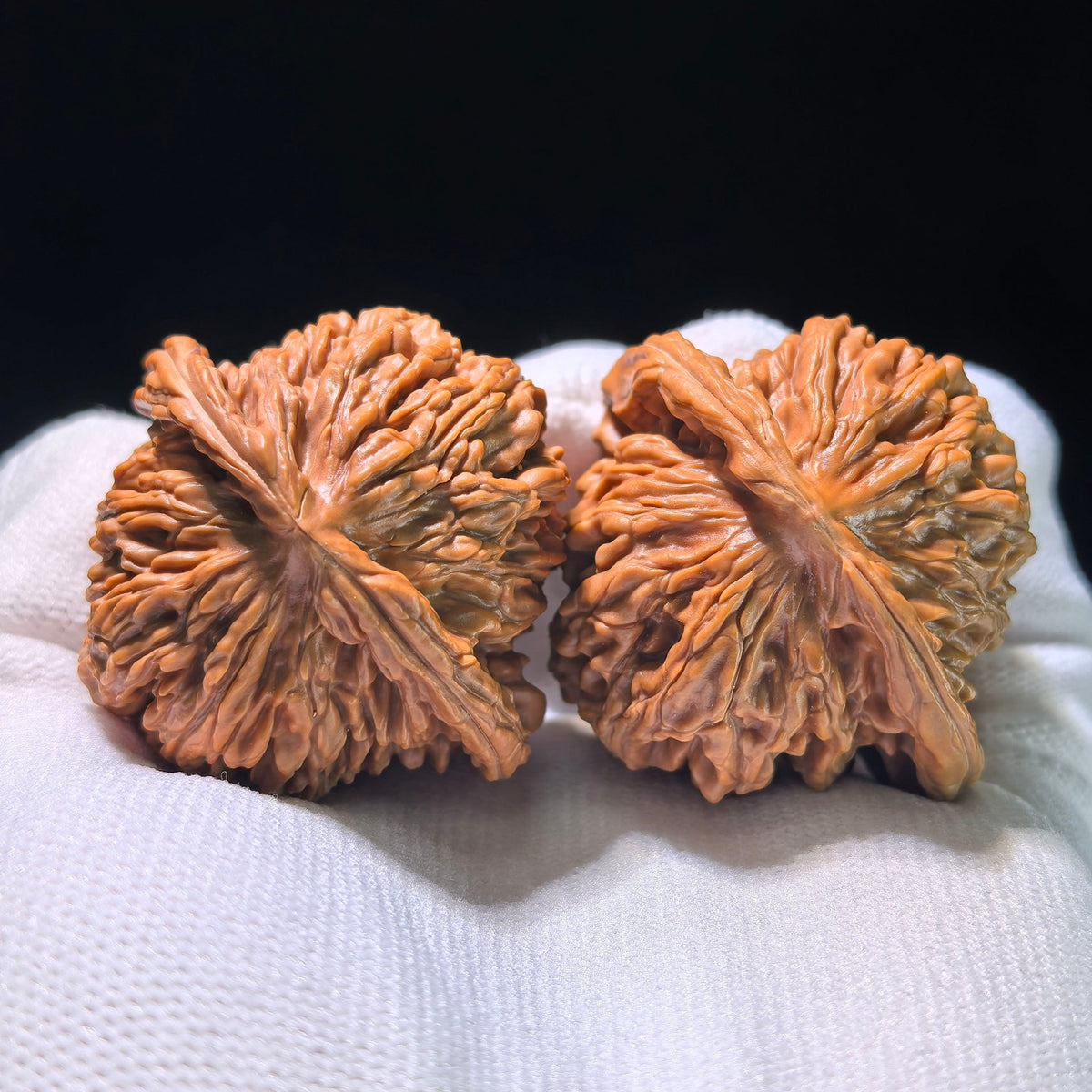 The "Coiled Dragon Pattern" (Pan Long Wen) Colossal Ergonomic Pair | 49.0mm x 45.0mm | PLW-903 - ThePatinaProject