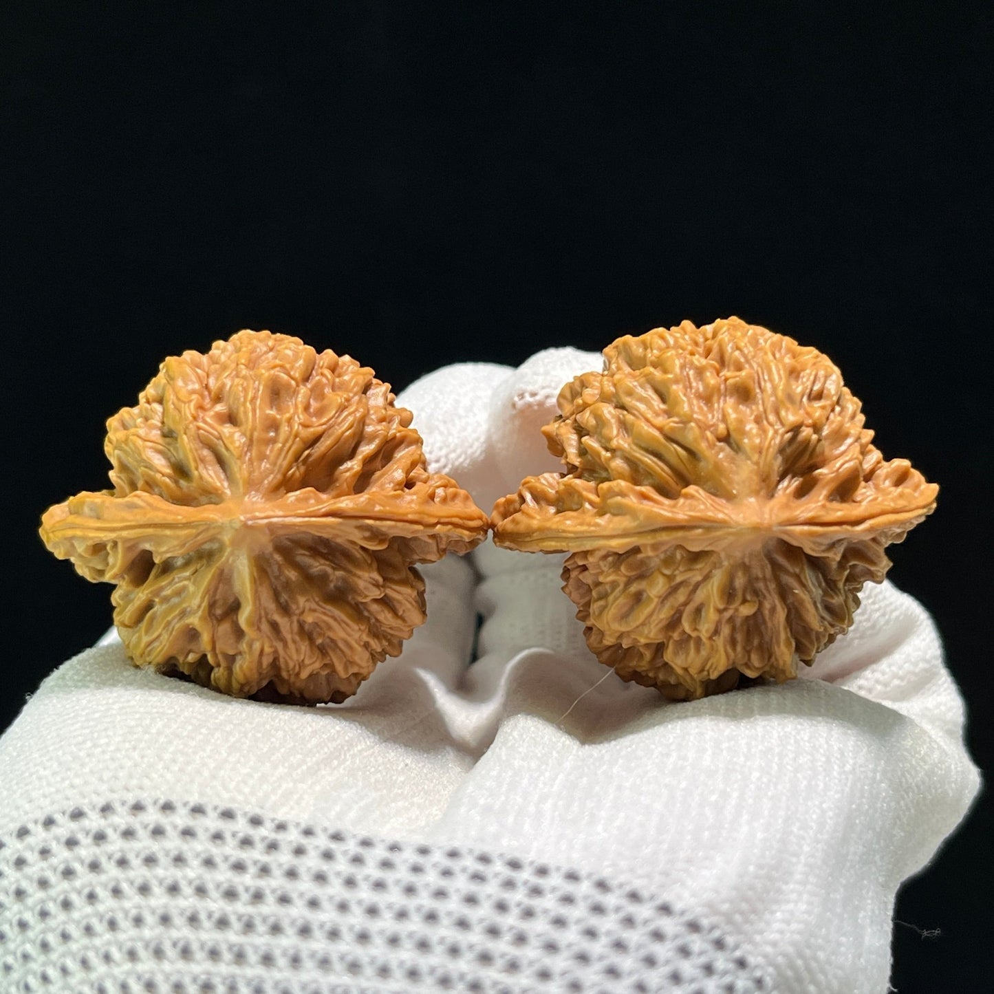 The "Coiled Dragon Pattern" (Pan Long Wen) Lion's Head Pair | 41.0mm x 35.0mm | PLW-601 - ThePatinaProject