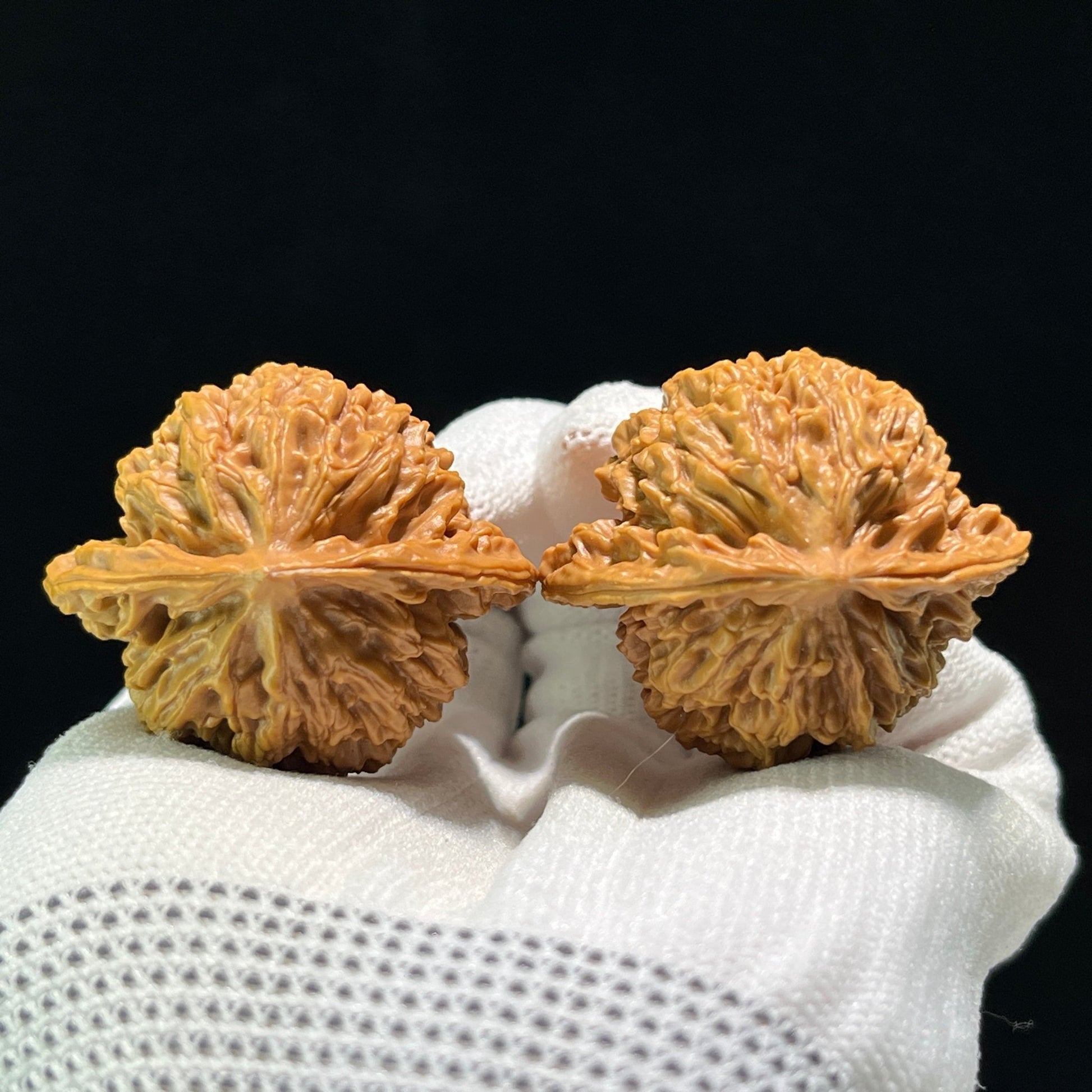 The "Coiled Dragon Pattern" (Pan Long Wen) Lion's Head Pair | 41.0mm x 35.0mm | PLW-601 - ThePatinaProject
