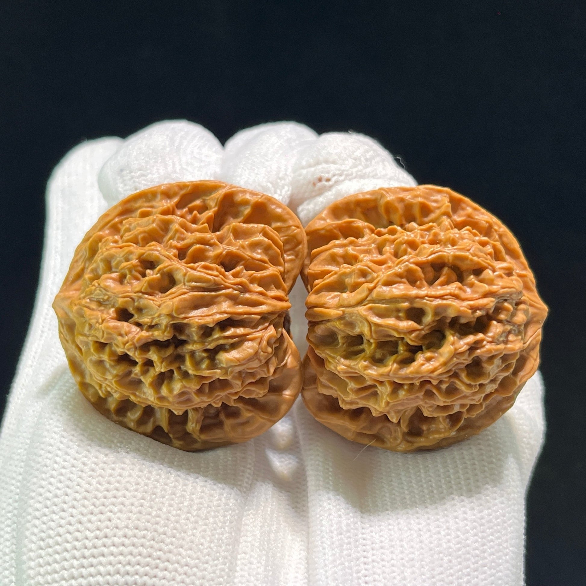 The "Coiled Dragon Pattern" (Pan Long Wen) Lion's Head Pair | 41.0mm x 35.0mm | PLW-601 - ThePatinaProject