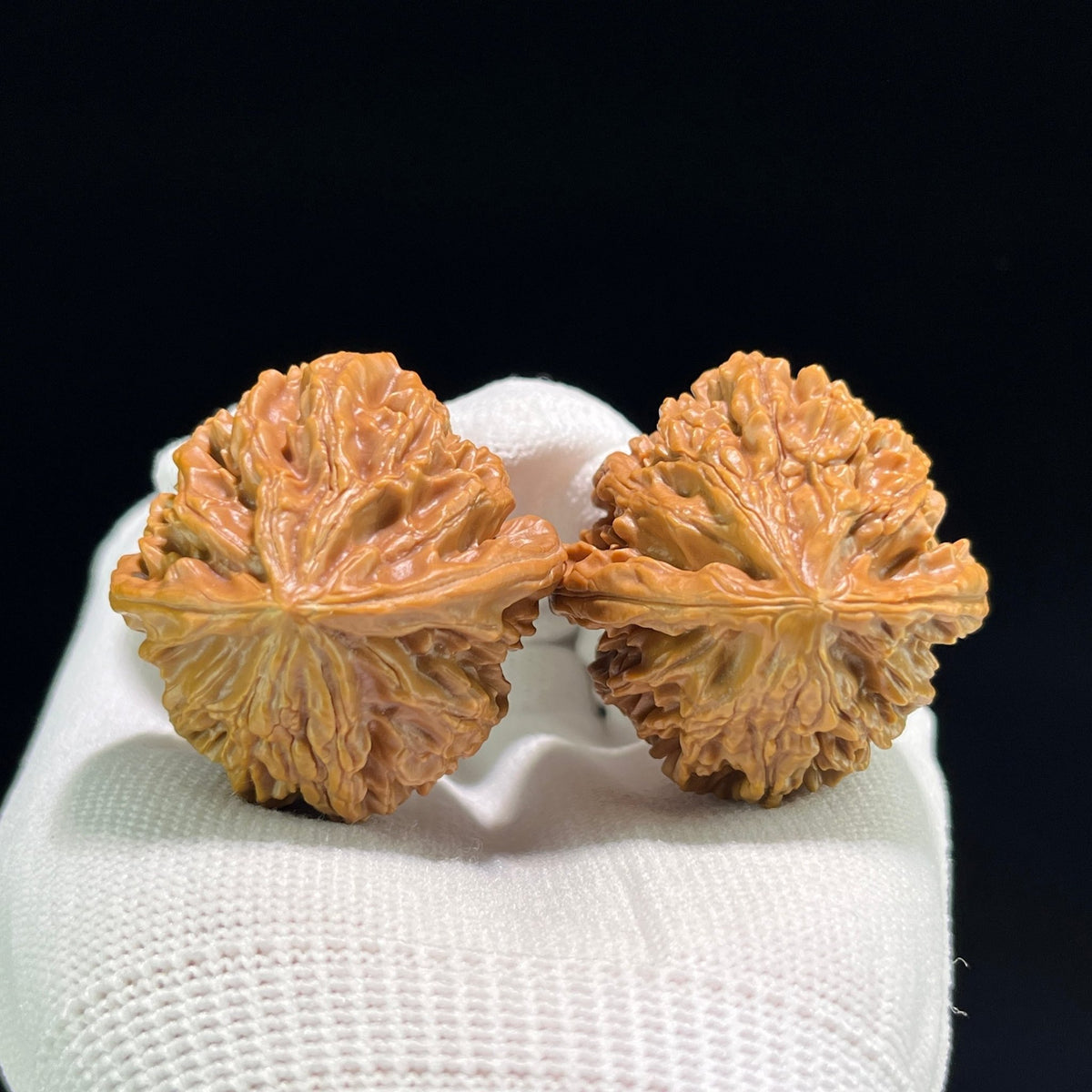 The "Coiling Dragon" (Pan Long Wen) Full-Bellied Pair | 37.0mm x 38.0mm | PLW-702 - ThePatinaProject