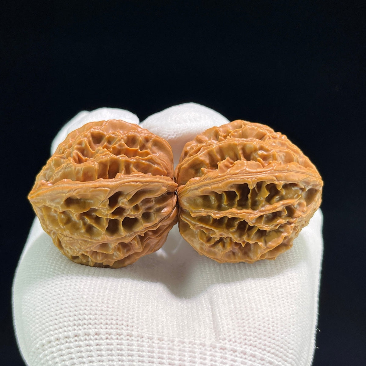 The "Coiling Dragon" (Pan Long Wen) Full-Bellied Pair | 37.0mm x 38.0mm | PLW-702 - ThePatinaProject
