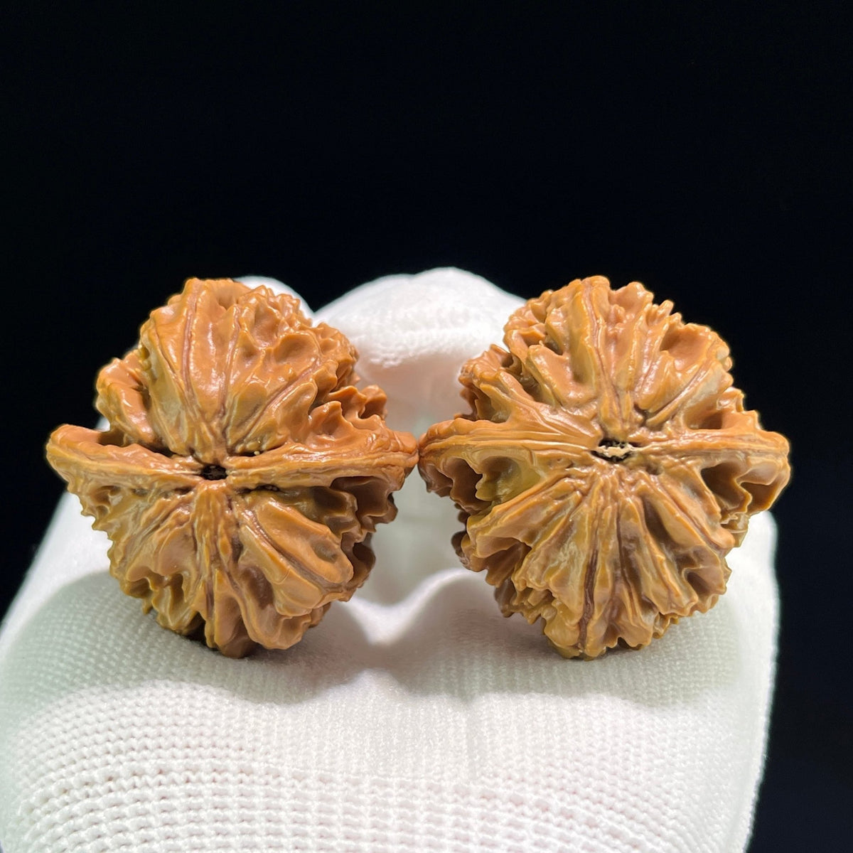 The "Coiling Dragon" (Pan Long Wen) Full-Bellied Pair | 37.0mm x 38.0mm | PLW-702 - ThePatinaProject