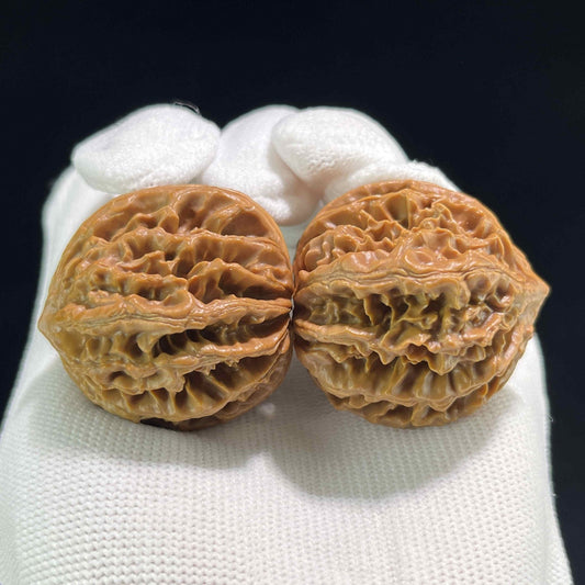 The "Coiling Dragon" (Pan Long Wen) Full-Bellied Pair | 37.0mm x 39.0mm | PLW-703 - ThePatinaProject