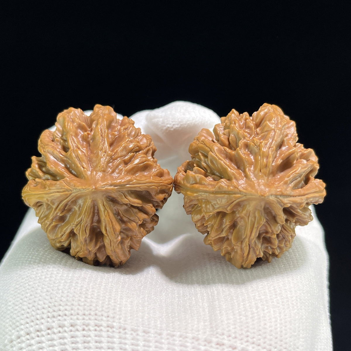 The "Coiling Dragon" (Pan Long Wen) Full-Bellied Pair | 37.0mm x 39.0mm | PLW-703 - ThePatinaProject
