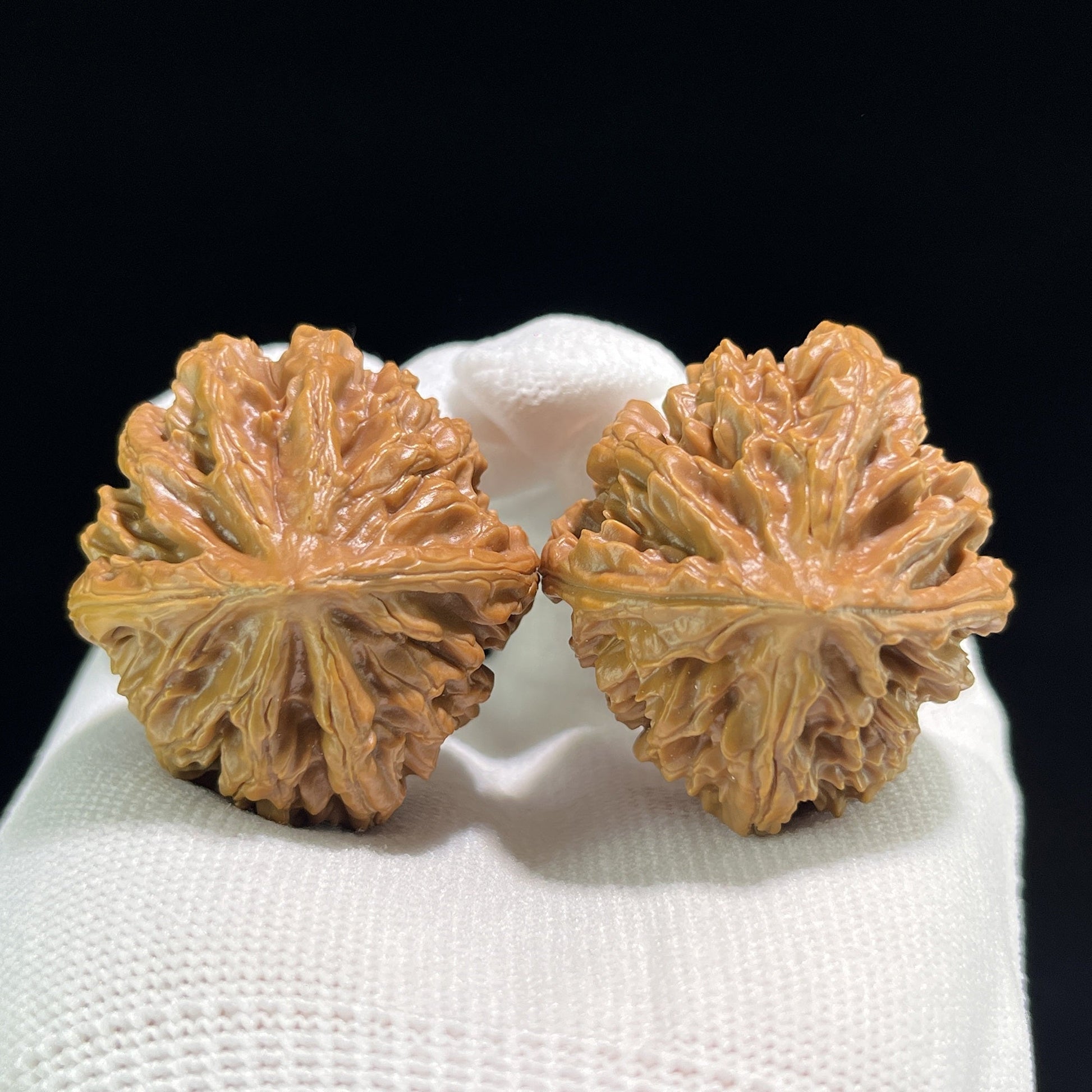 The "Coiling Dragon" (Pan Long Wen) Full-Bellied Pair | 37.0mm x 39.0mm | PLW-703 - ThePatinaProject