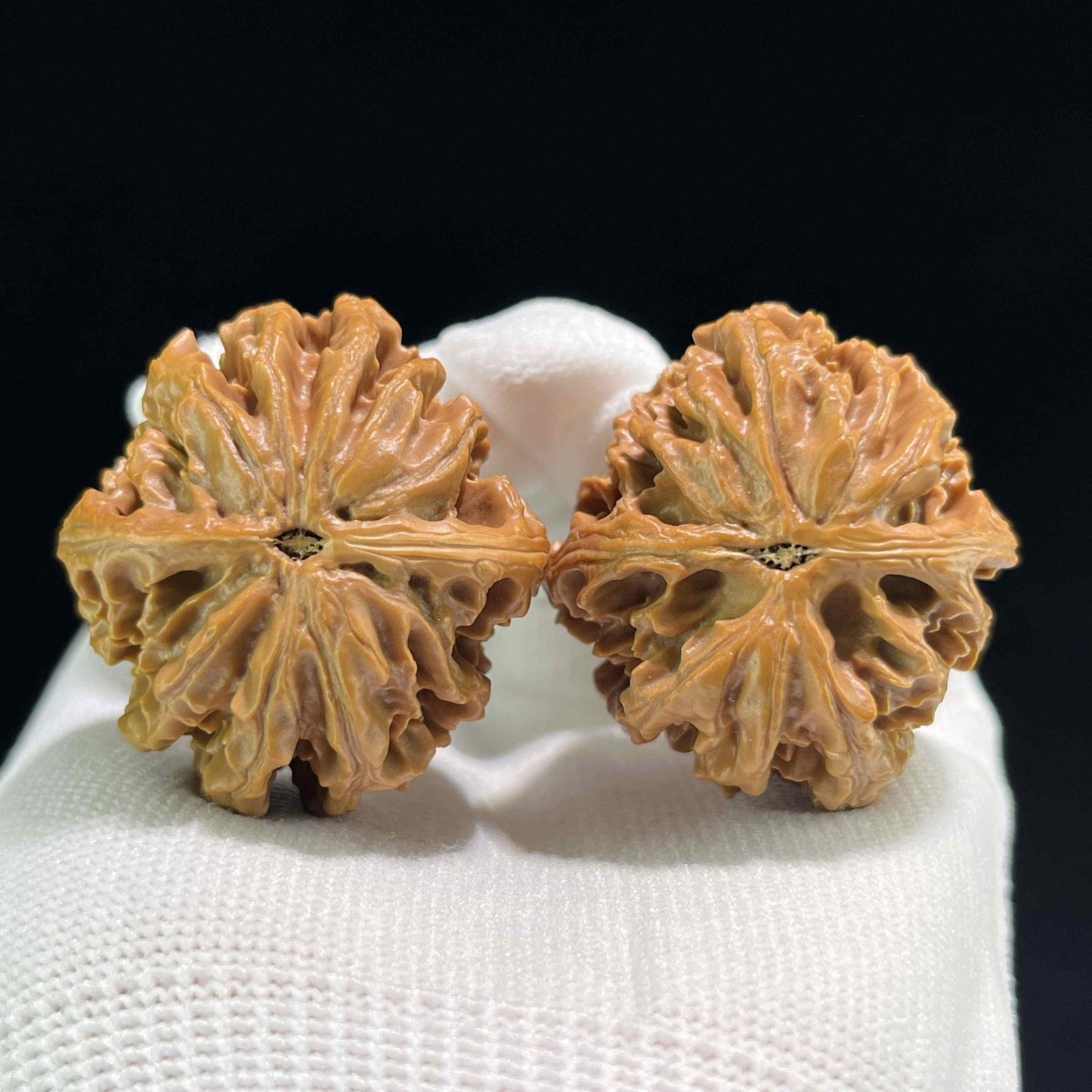 The "Coiling Dragon" (Pan Long Wen) Full-Bellied Pair | 37.0mm x 39.0mm | PLW-703 - ThePatinaProject