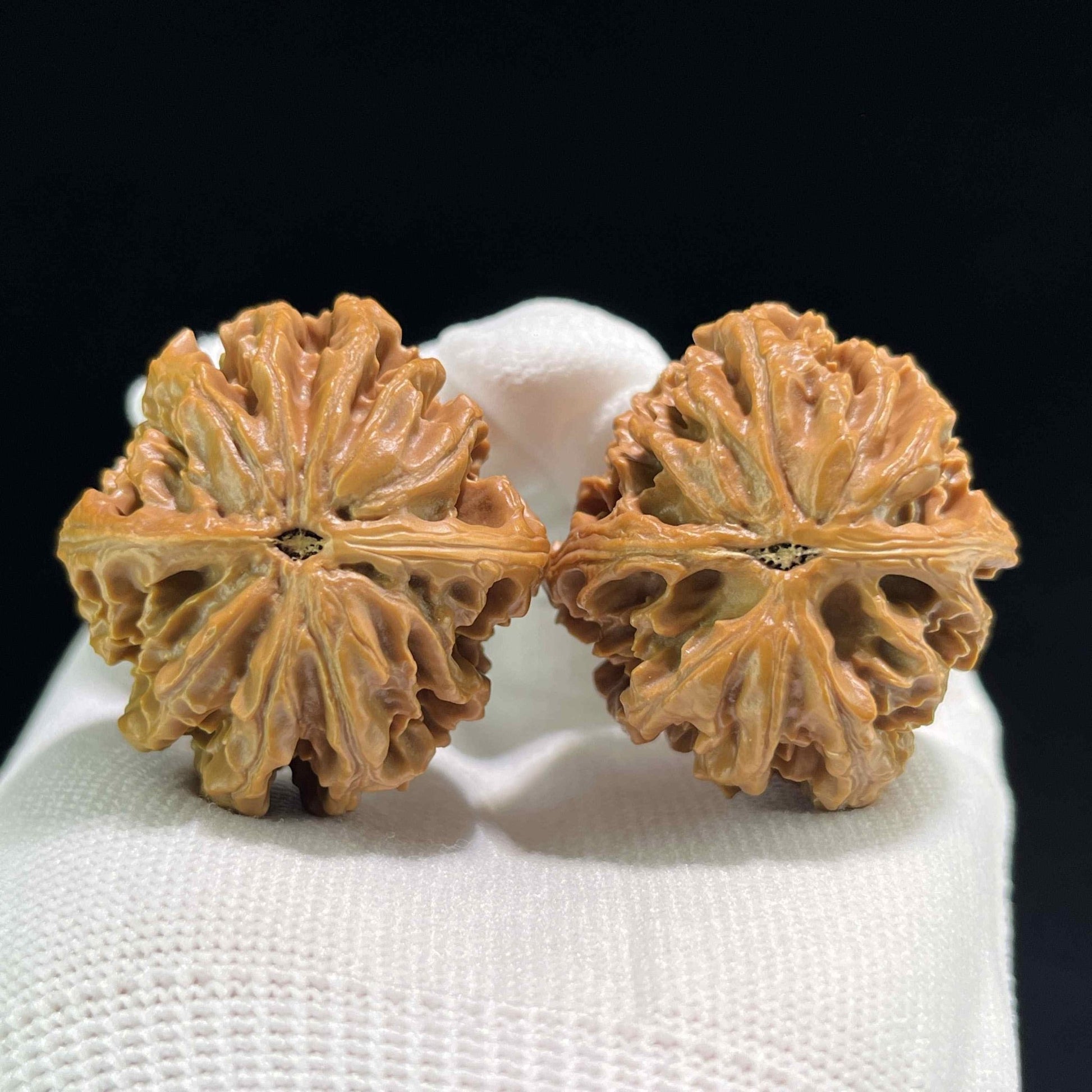The "Coiling Dragon" (Pan Long Wen) Full-Bellied Pair | 37.0mm x 39.0mm | PLW-703 - ThePatinaProject