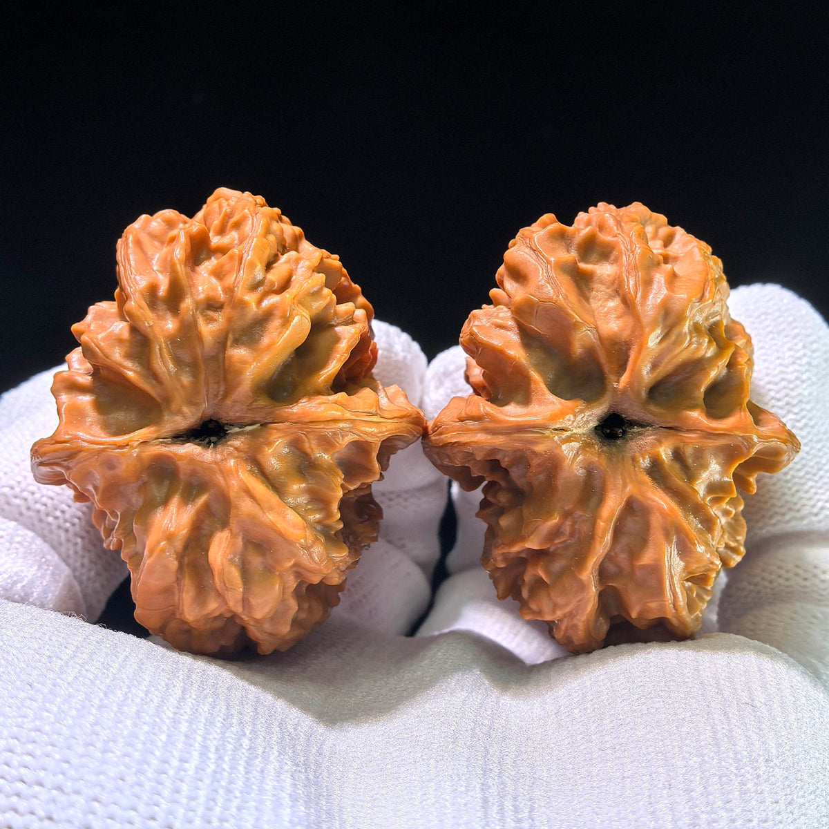 The Commandive "Pinggu Square" Pinggu Fangkuai Masterpiece | 36.0mm x 44.0mm | PGFK-1201C - ThePatinaProject
