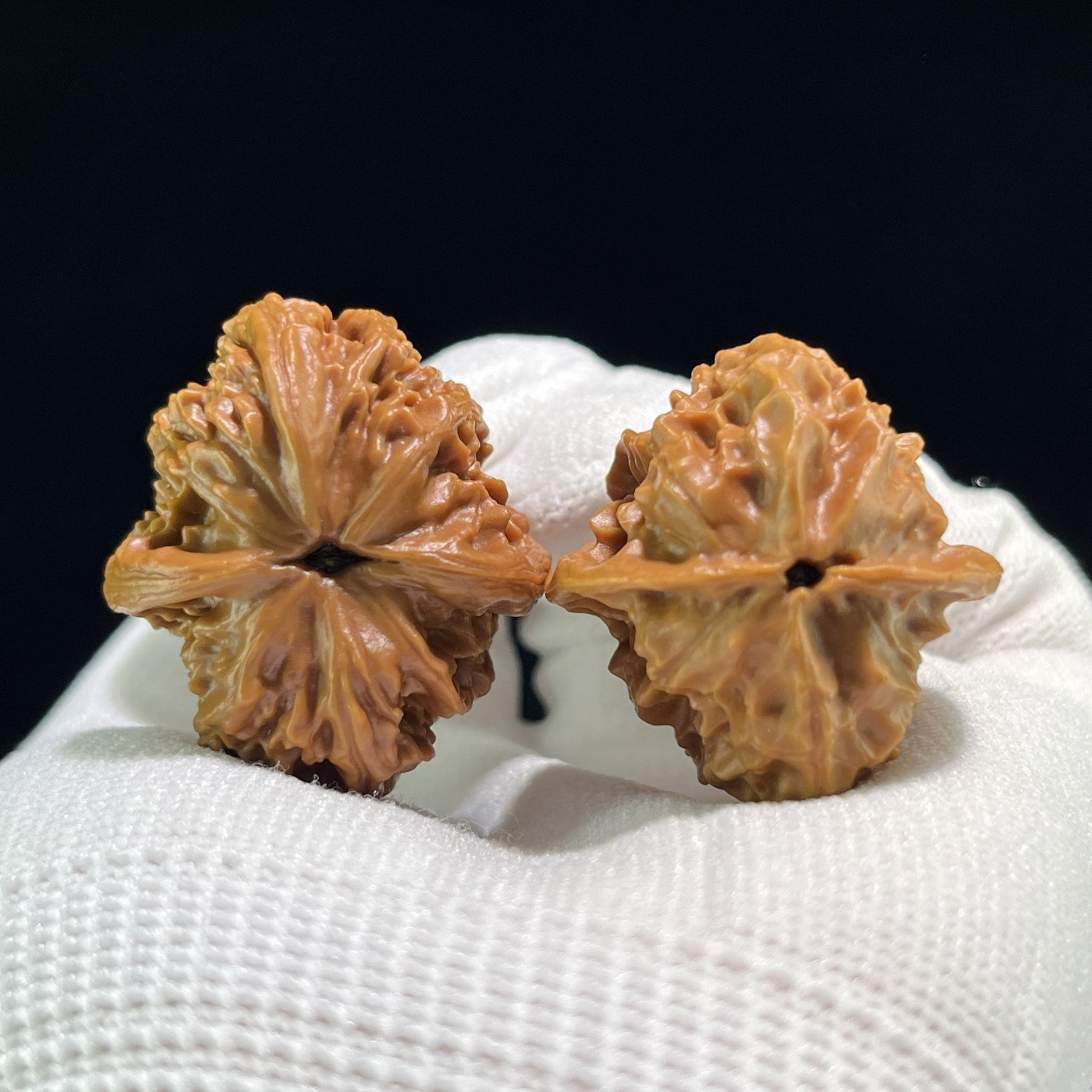 The "Coral Tower" (Shan Hu Ta) Ergonomic Pocket Pair | 34.0mm x 32.0mm | SHT-704 - ThePatinaProject