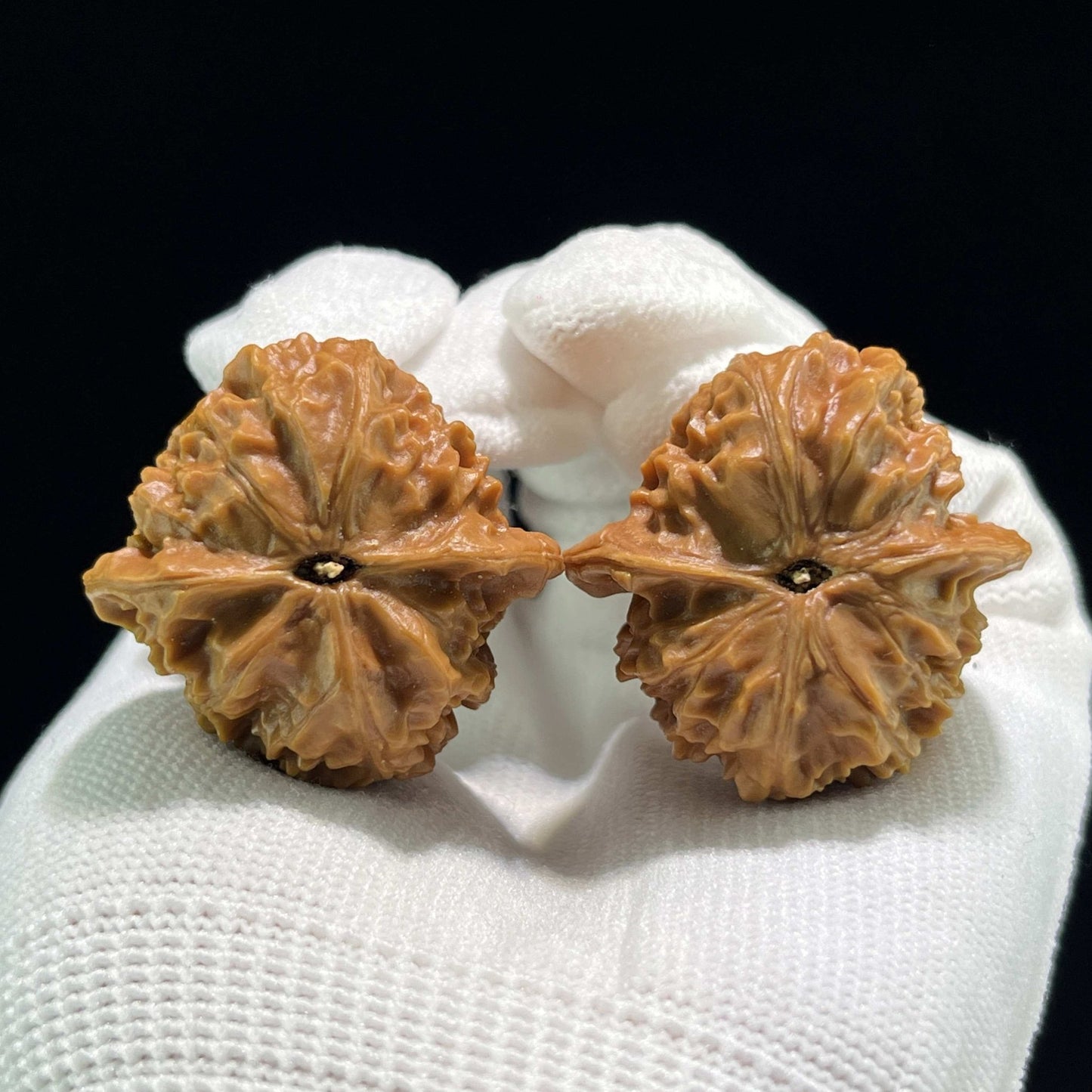 The "Coral Tower" (Shan Hu Ta) Ergonomic Pocket Pair | 34.0mm x 33.0mm | SHT-702 - ThePatinaProject