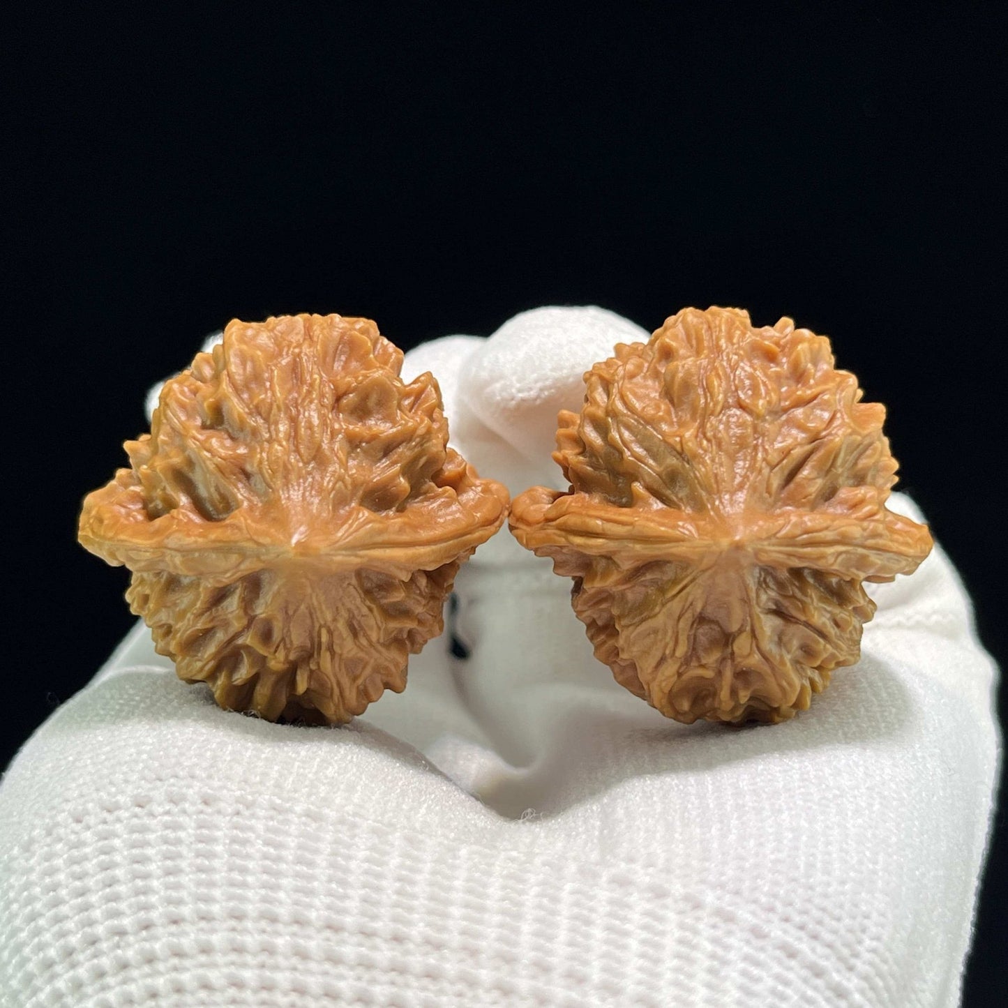 The "Coral Tower" (Shan Hu Ta) Ergonomic Pocket Pair | 34.0mm x 33.0mm | SHT-702 - ThePatinaProject