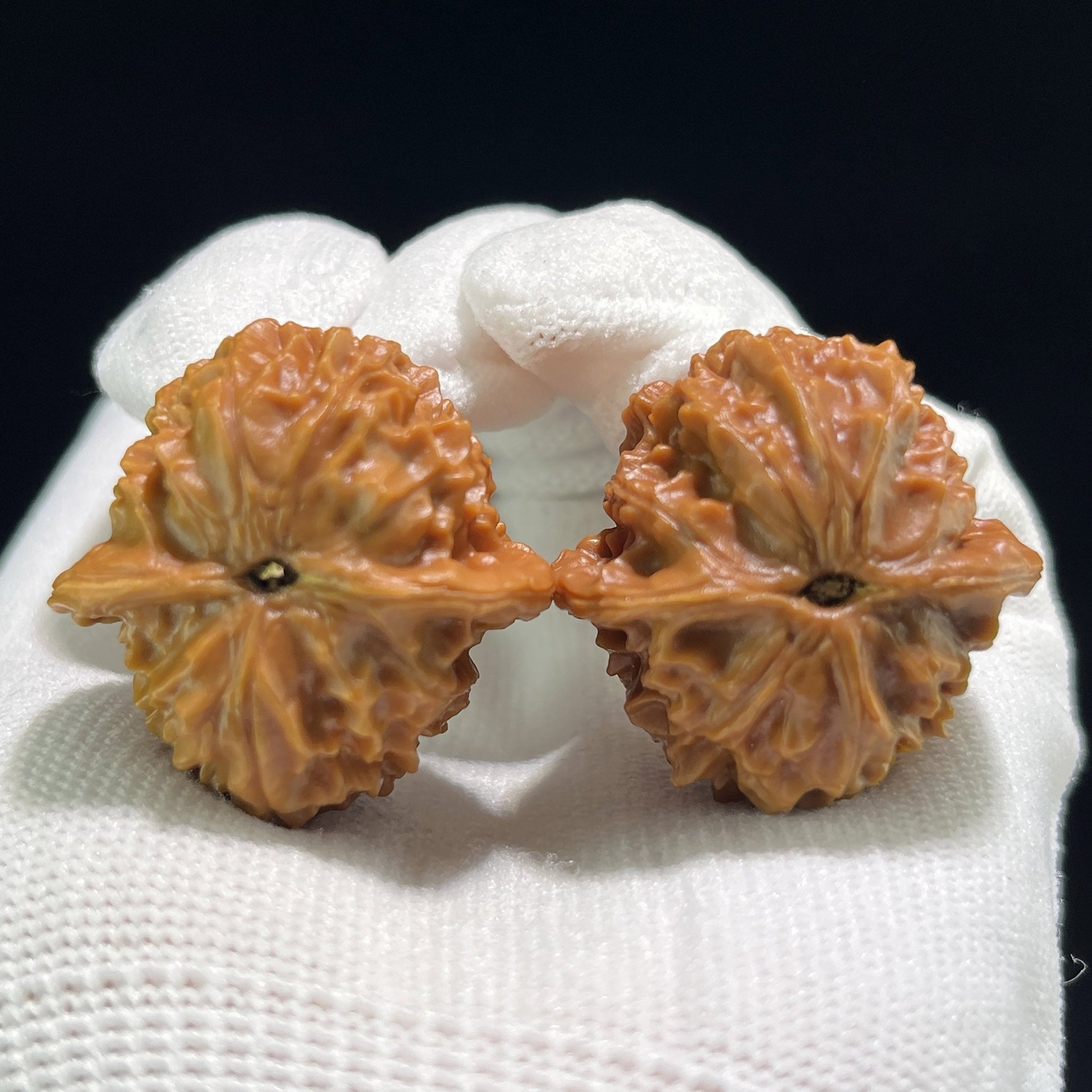 The "Coral Tower" (Shan Hu Ta) Full-Bellied Miniature Pair | 32.0mm x 33.0mm | SHT-707 - ThePatinaProject