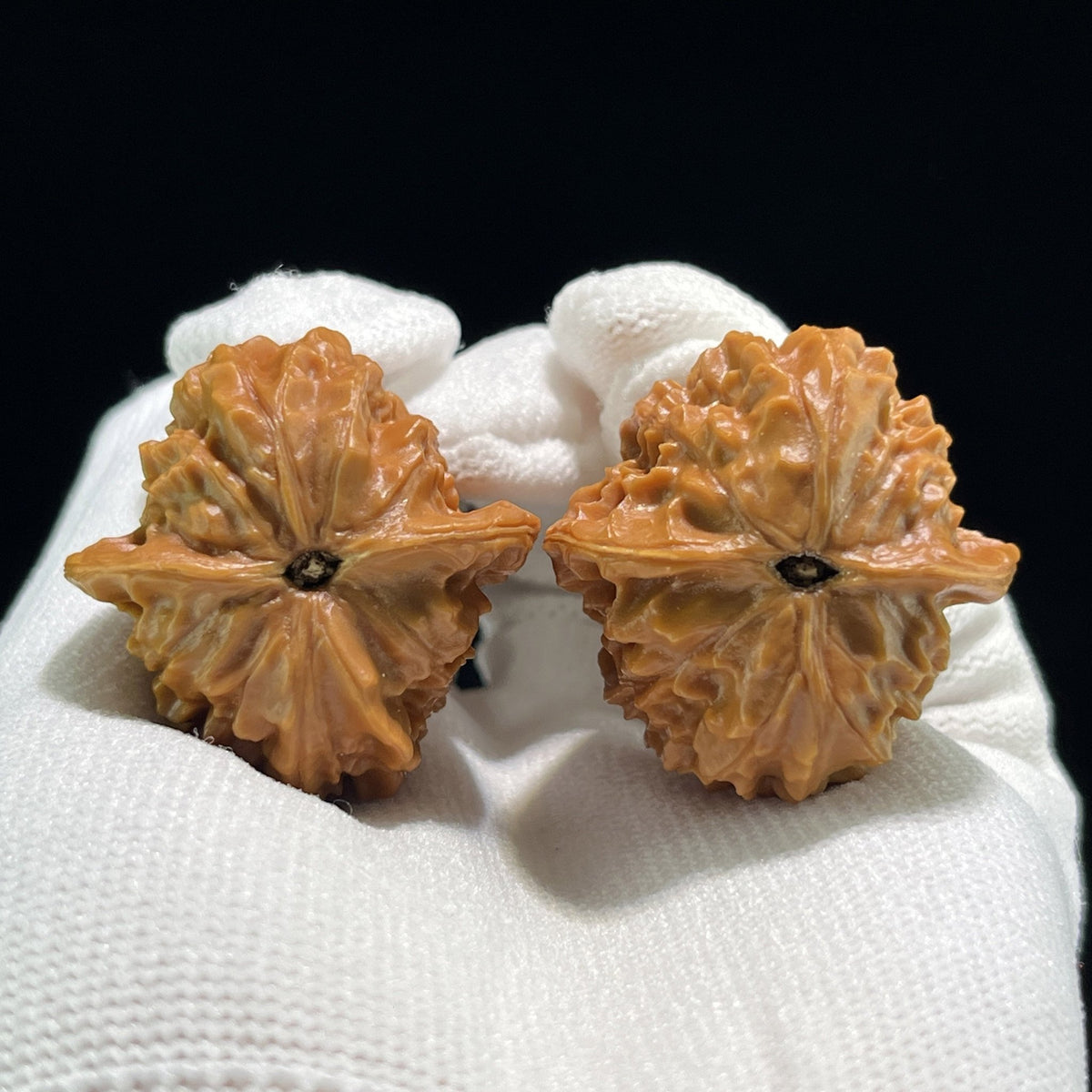 The "Coral Tower" (Shan Hu Ta) Full-Bellied Pocket Pair | 33.0mm x 34.0mm | SHT-705 - ThePatinaProject