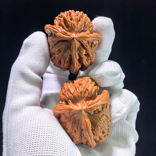 The "Cowboy Hat" Lion Head (Shi Zi Tou) Investment-Grade Three-Ribbed Masterpiece | 38.0mm x 44.0mm | SZTDN-1301E - ThePatinaProject