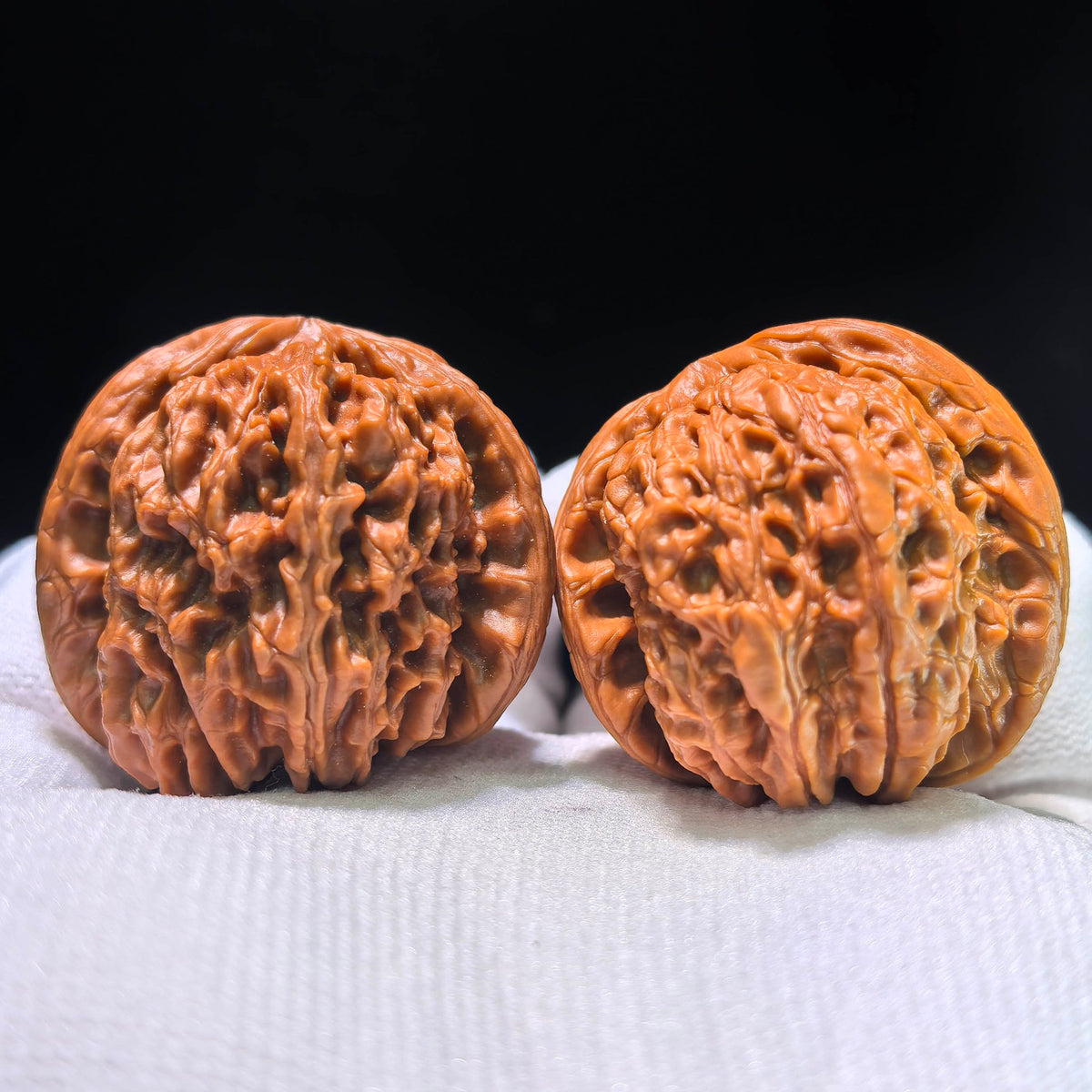The "Cowboy Hat" Lion Head (Shi Zi Tou) Investment-Grade Three-Ribbed Masterpiece | 38.0mm x 44.0mm | SZTDN-1301E - ThePatinaProject