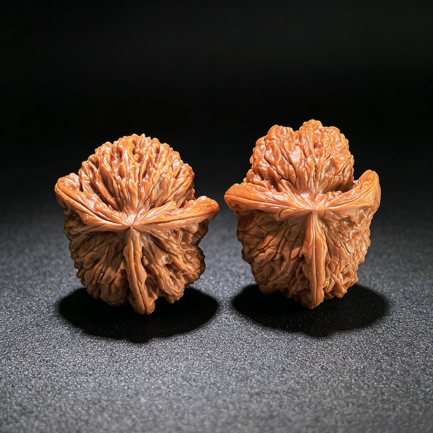 The "Cowboy Hat" Lion Head (Shi Zi Tou) Investment-Grade Three-Ribbed Masterpiece | 38.0mm x 44.0mm | SZTDN-1301E - ThePatinaProject